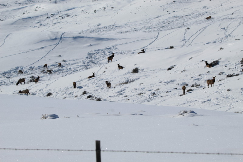Colorado Hunting Ranches property picture 39 of 120