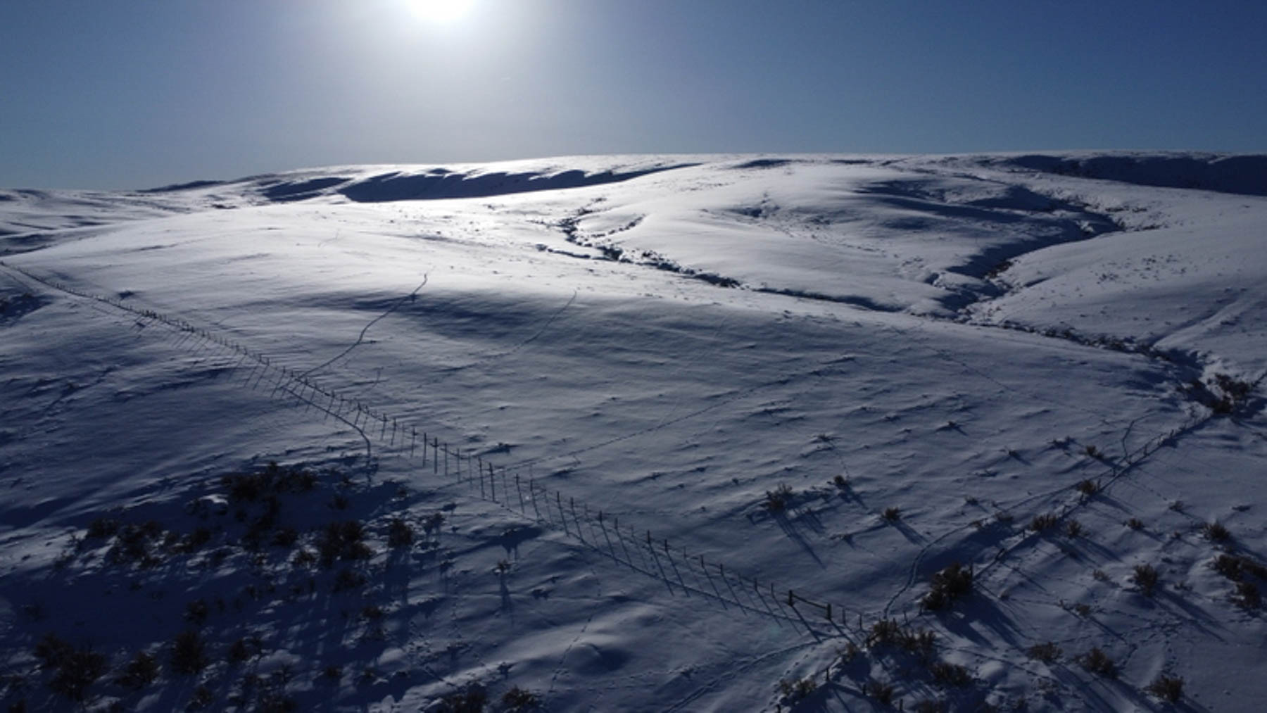 Colorado Hunting Ranches property picture 75 of 120
