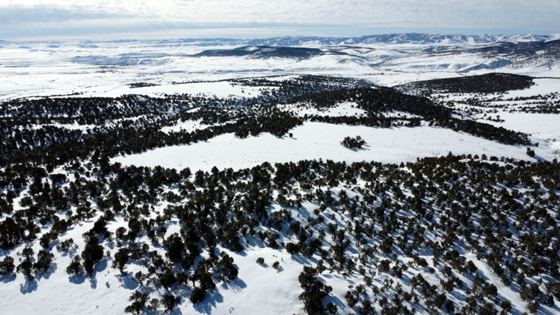 Colorado Hunting Ranches property picture 93 of 120
