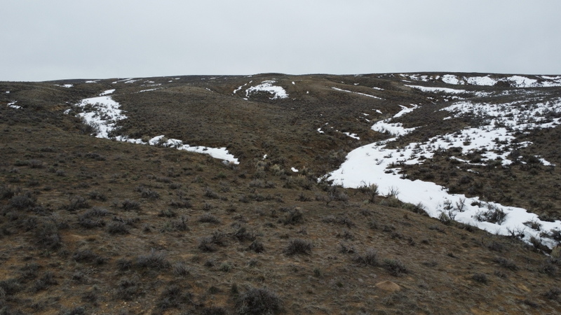 Colorado Hunting Ranches property picture 48 of 120