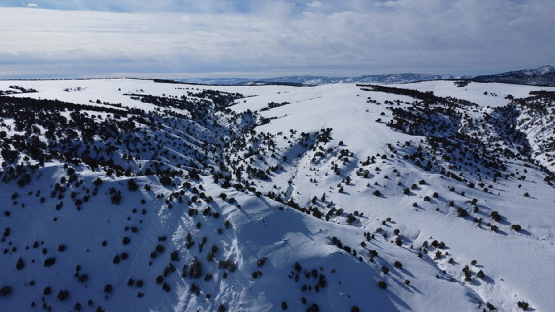 Colorado Hunting Ranches property picture 79 of 120