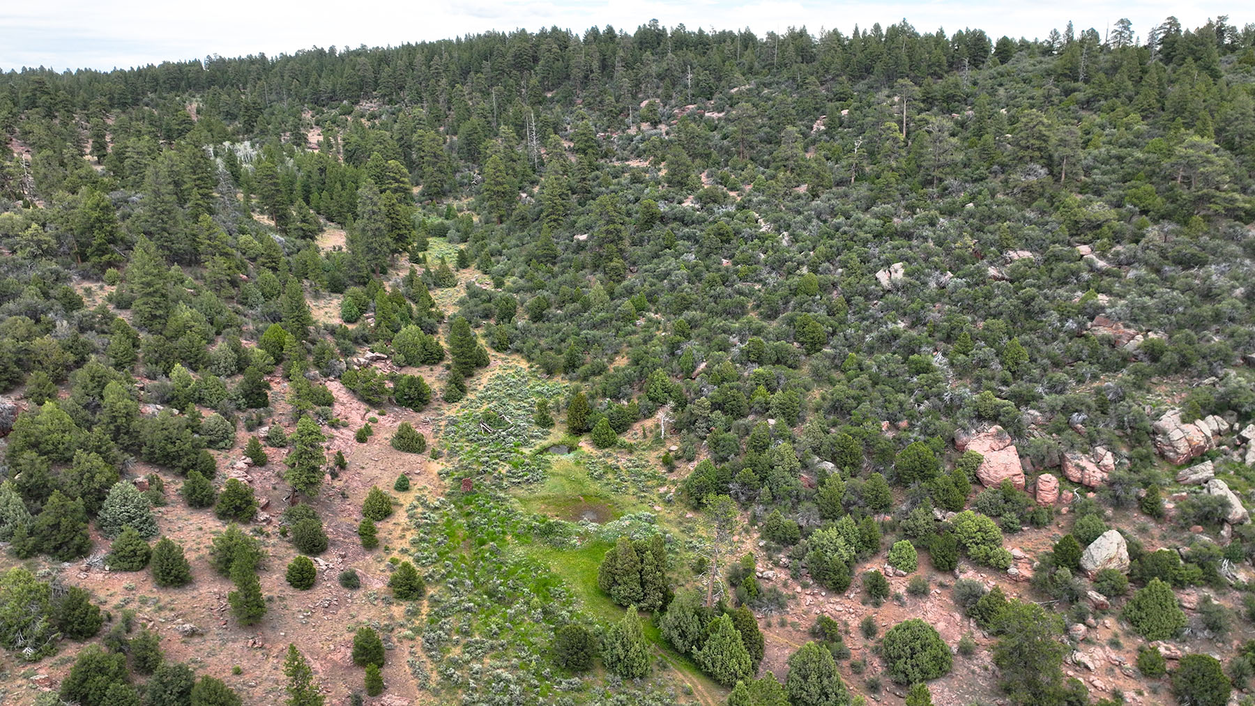 Colorado Hunting Ranches property picture 12 of 120