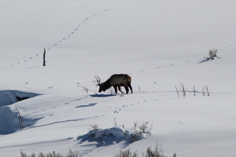 Colorado Hunting Ranches property picture 30 of 120