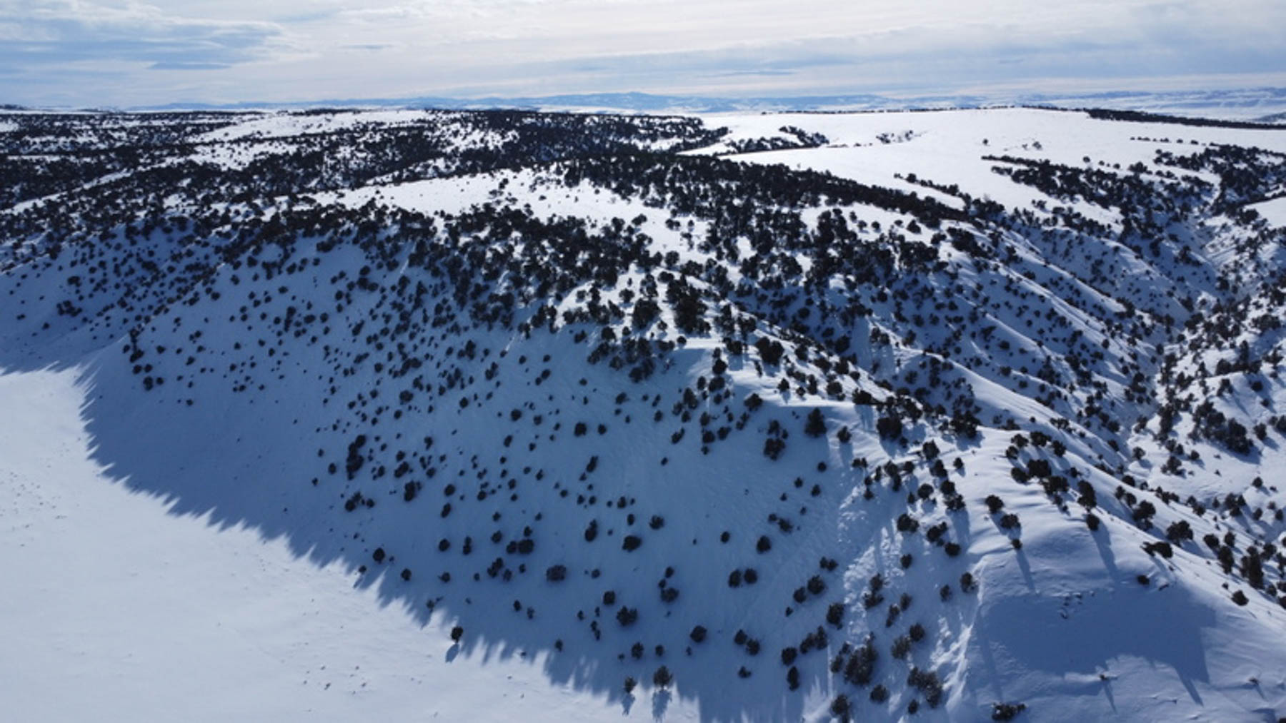 Colorado Hunting Ranches property picture 85 of 120