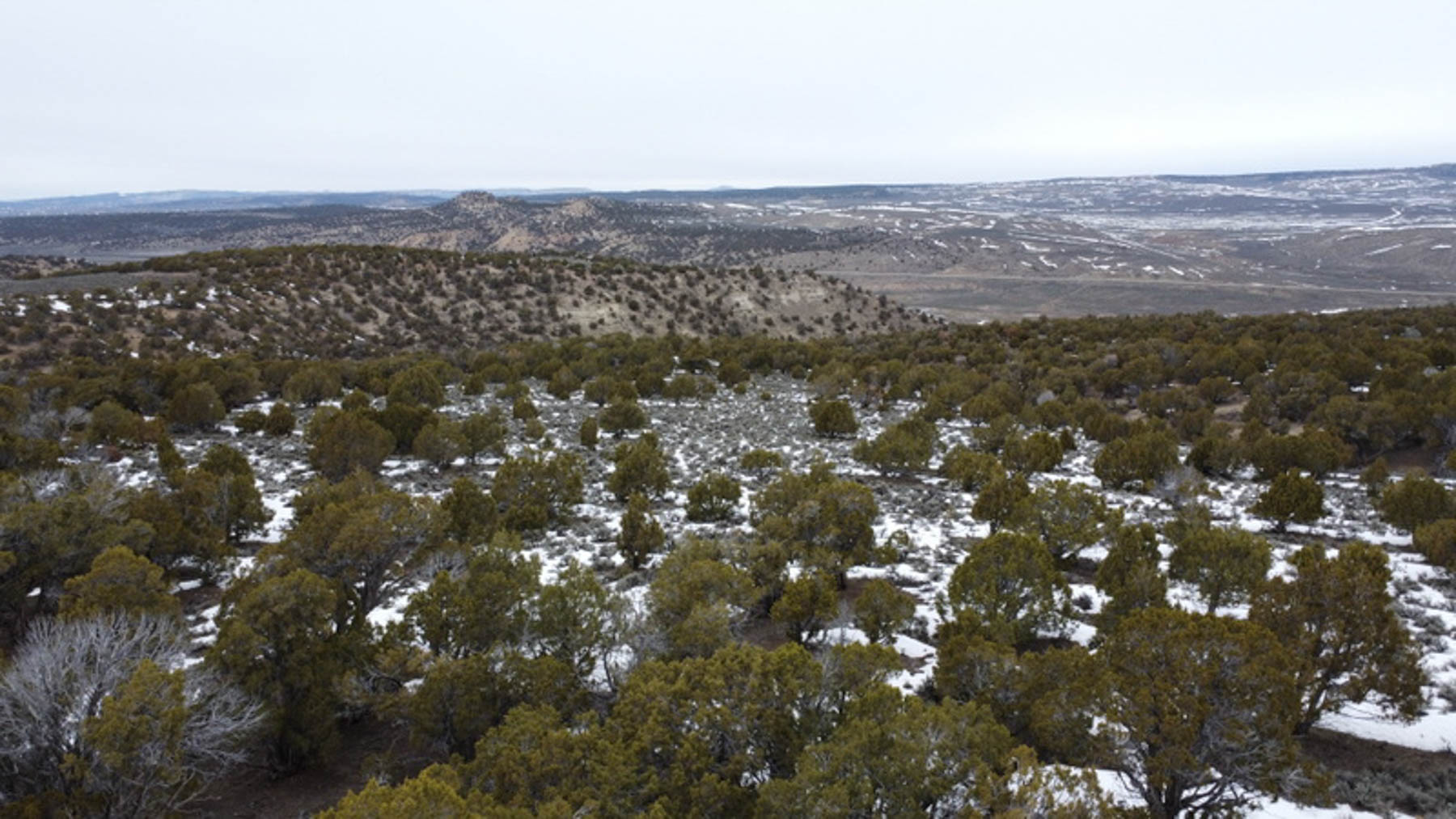 Colorado Hunting Ranches property picture 103 of 120