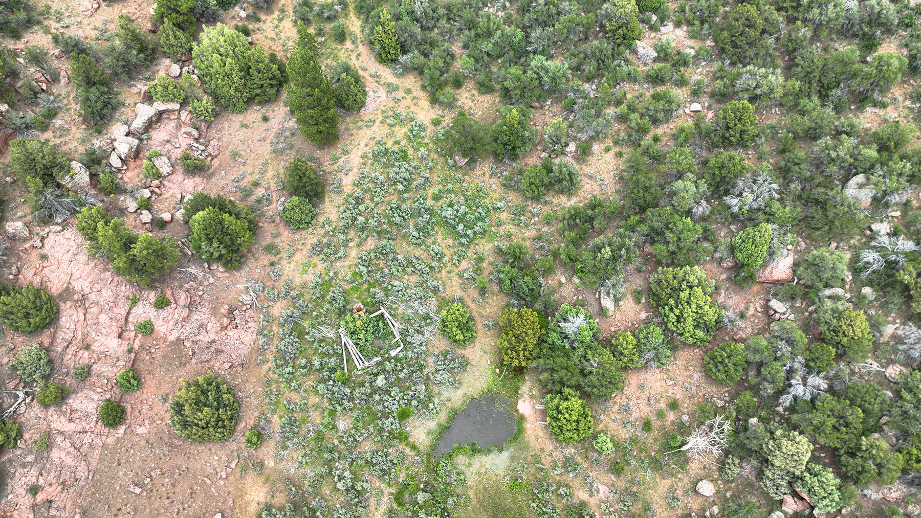 Colorado Hunting Ranches property picture 13 of 120