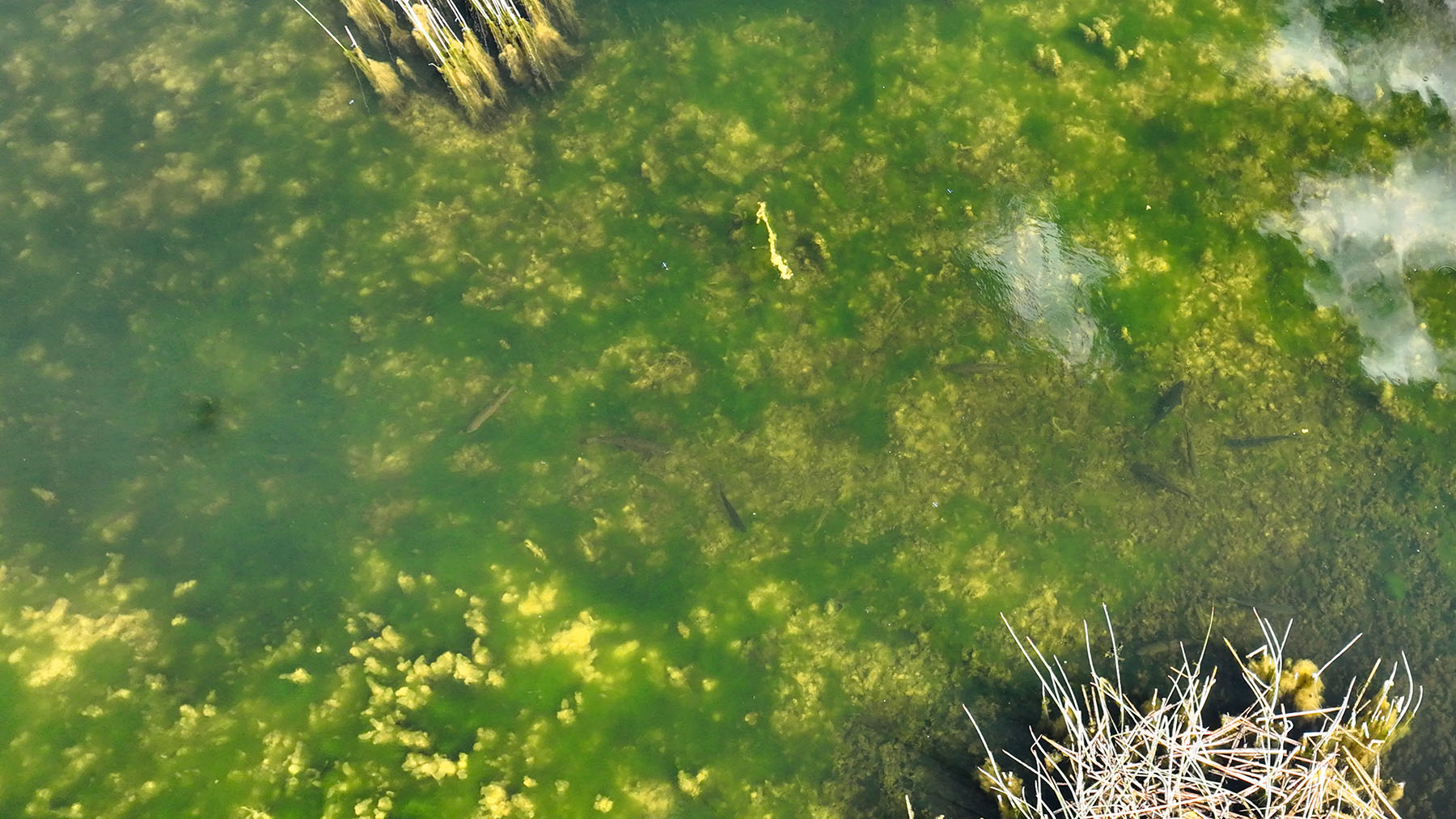 Colorado Hunting Ranches property picture 19 of 120