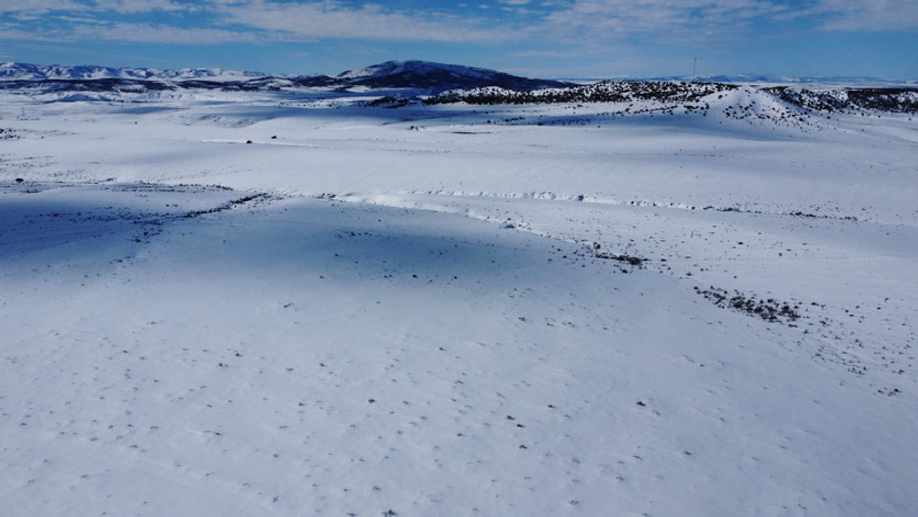 Colorado Hunting Ranches property picture 97 of 120