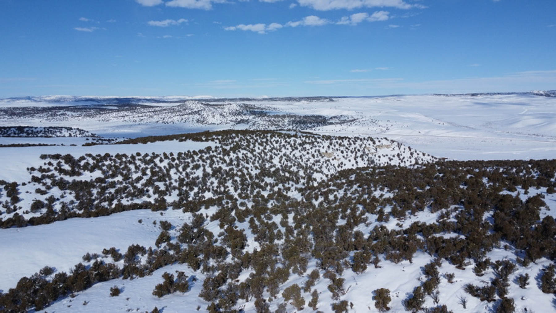 Colorado Hunting Ranches property picture 90 of 120