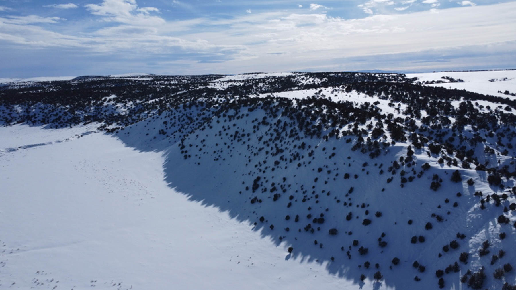 Colorado Hunting Ranches property picture 84 of 120