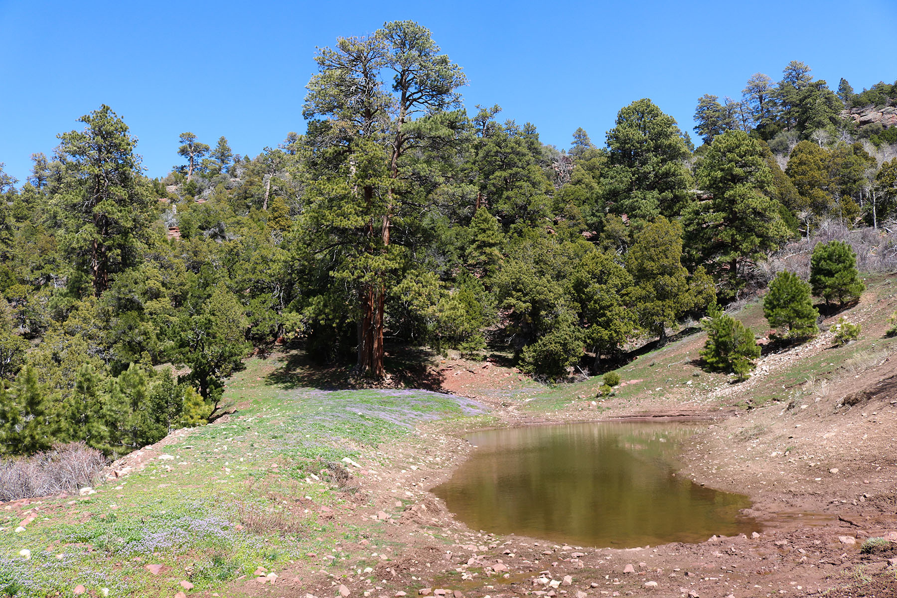 Colorado Hunting Ranches property picture 27 of 120