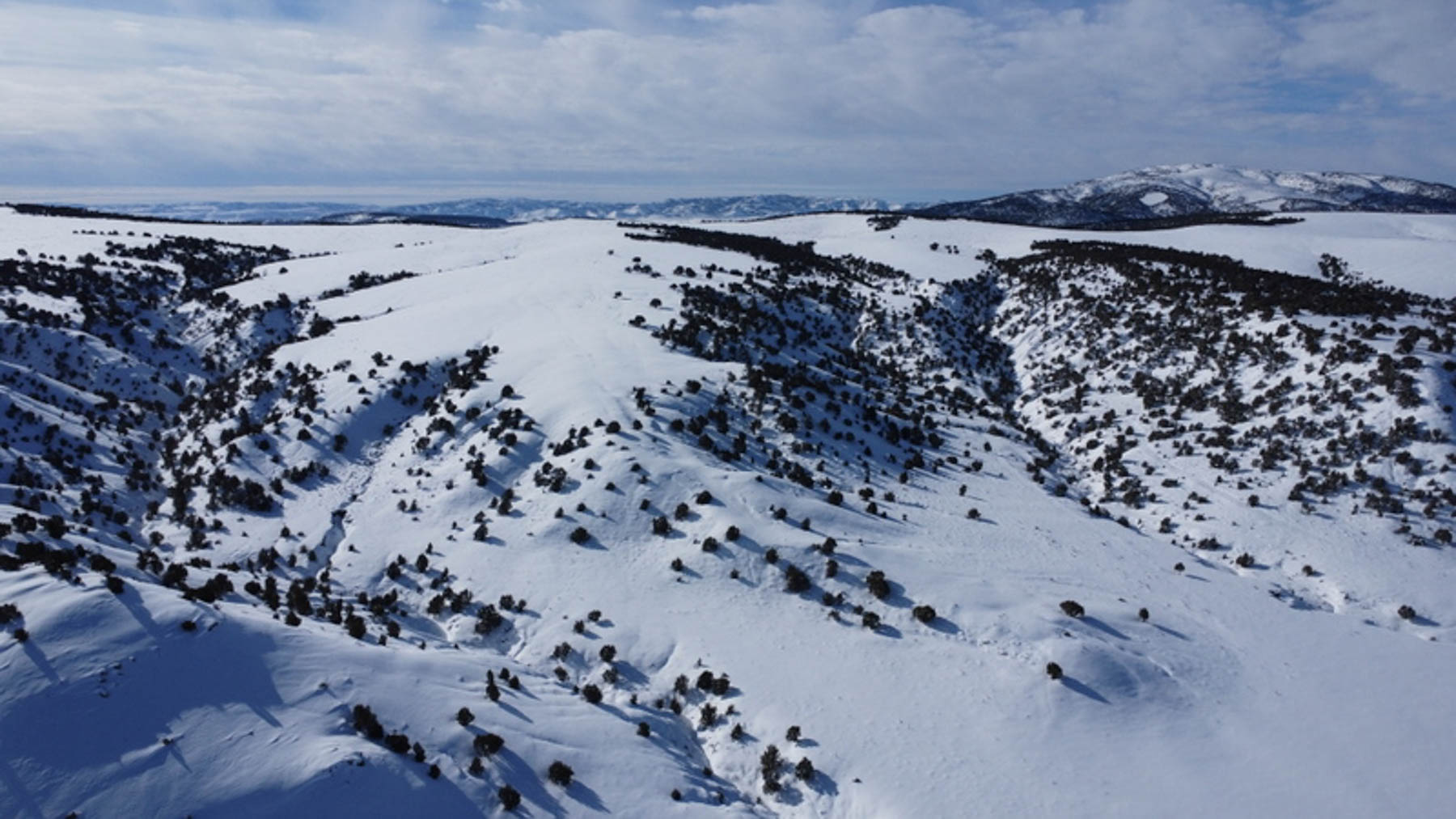 Colorado Hunting Ranches property picture 81 of 120