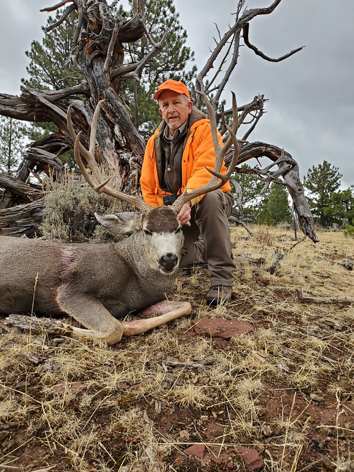Colorado Hunting Ranches property picture 6 of 120