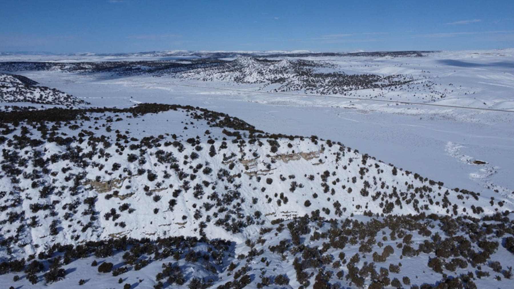 Colorado Hunting Ranches property picture 91 of 120