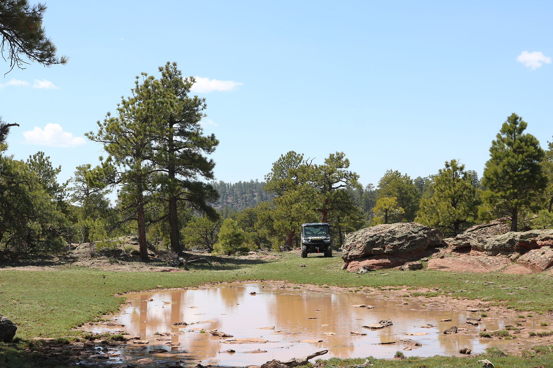 Colorado Hunting Ranches property picture 26 of 120