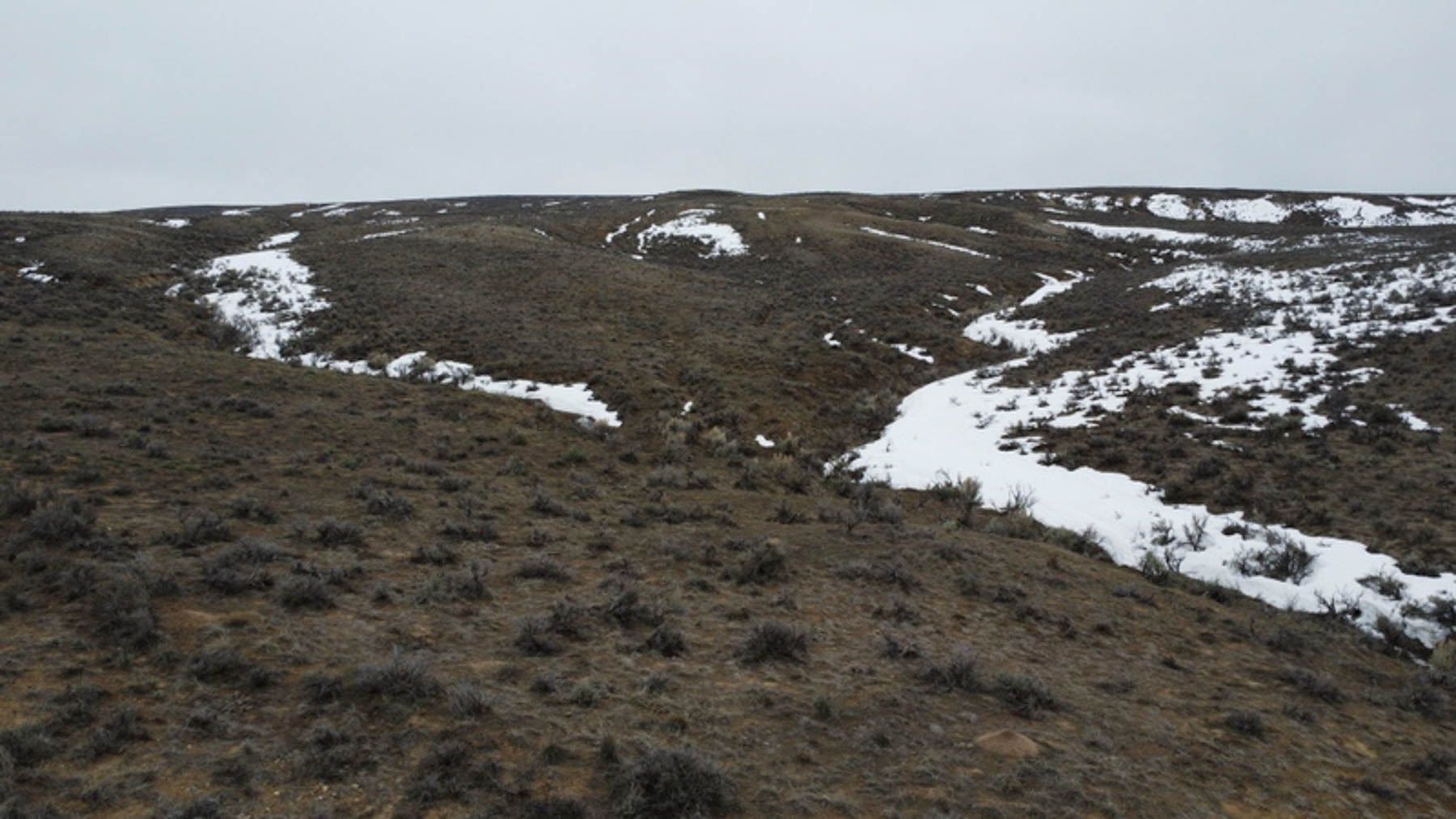 Colorado Hunting Ranches property picture 68 of 120