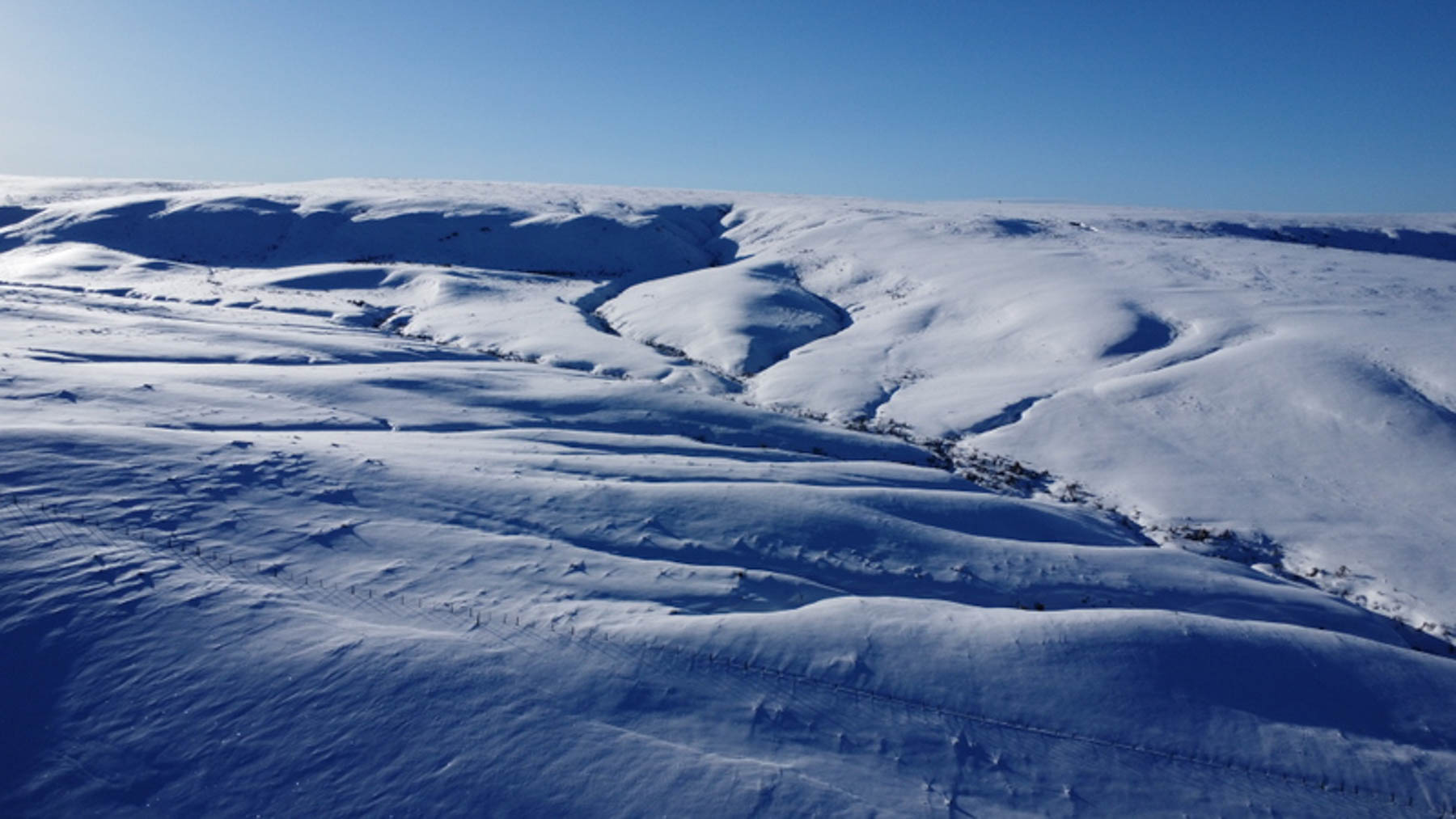 Colorado Hunting Ranches property picture 73 of 120
