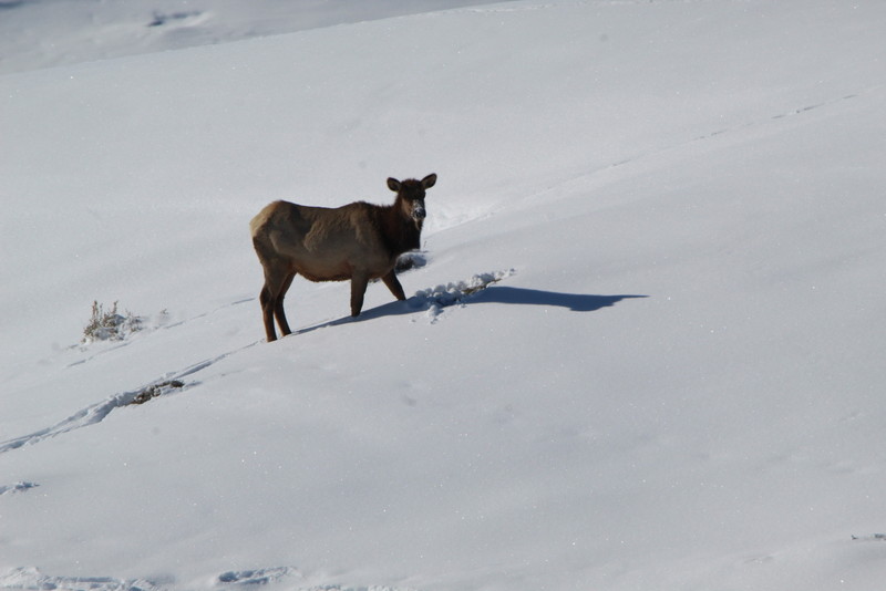 Colorado Hunting Ranches property picture 35 of 120
