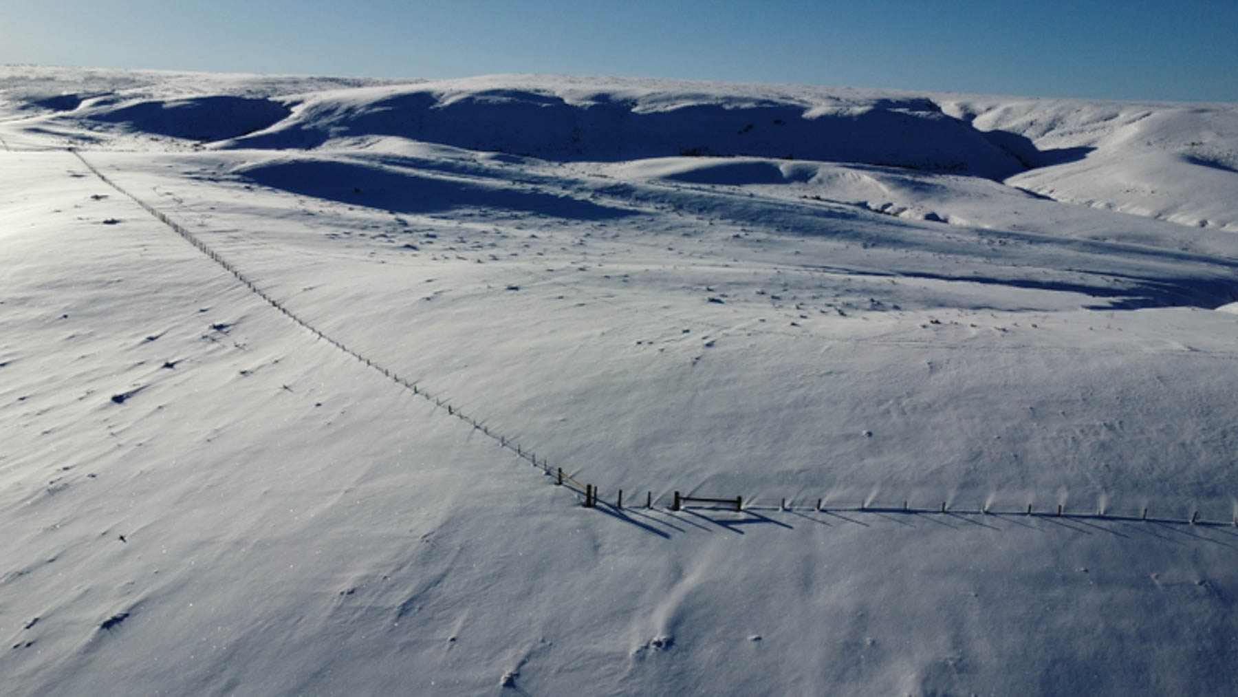 Colorado Hunting Ranches property picture 72 of 120