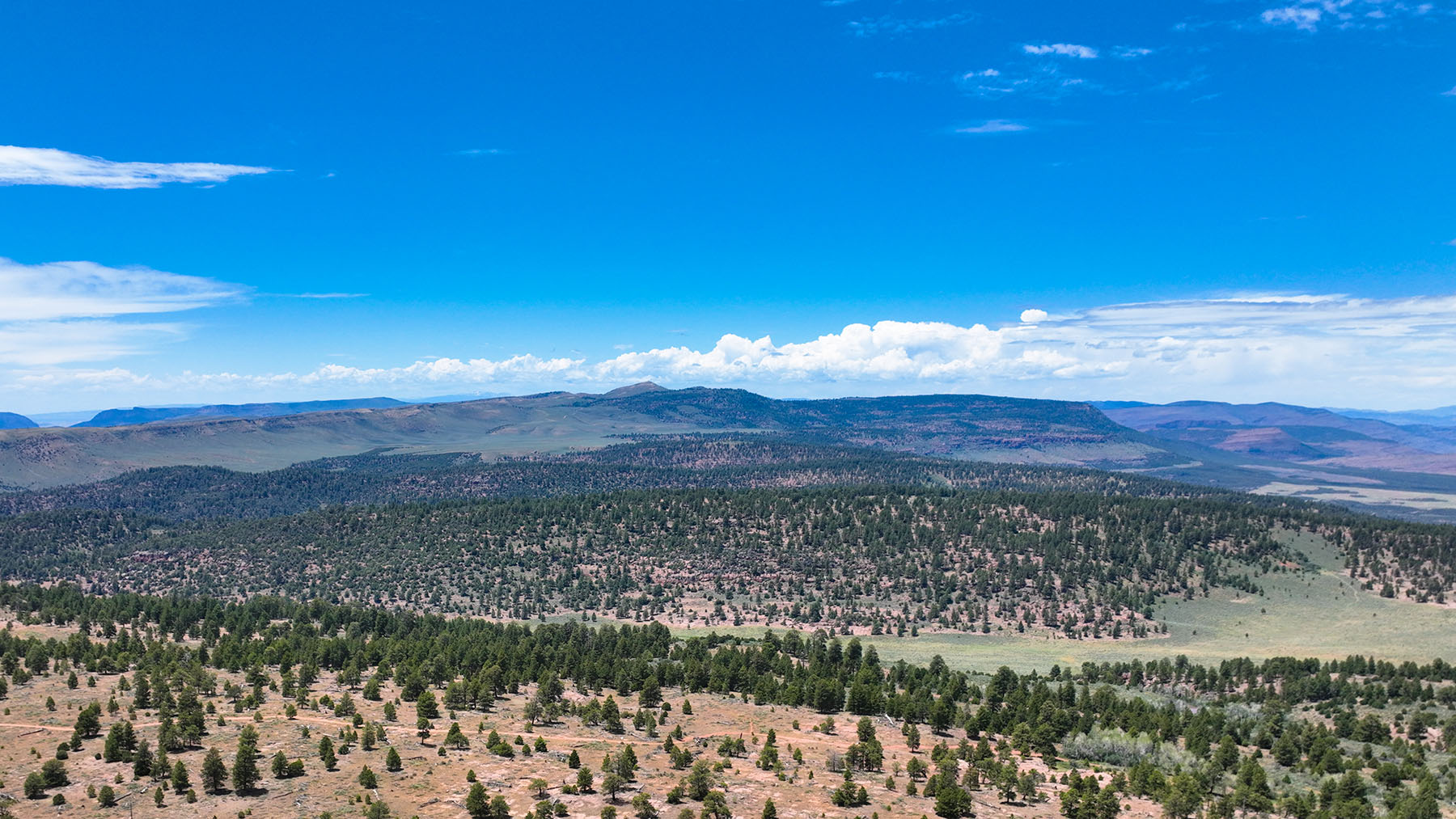 Colorado Hunting Ranches property picture 17 of 120