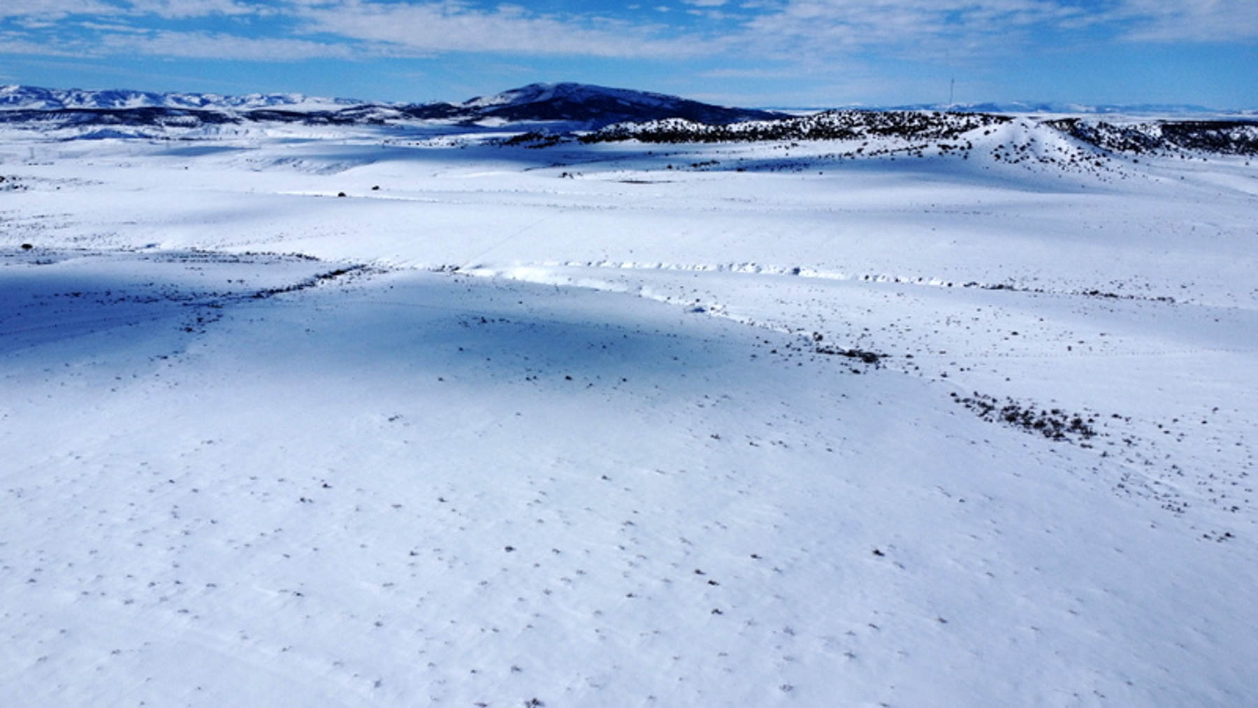Colorado Hunting Ranches property picture 98 of 120