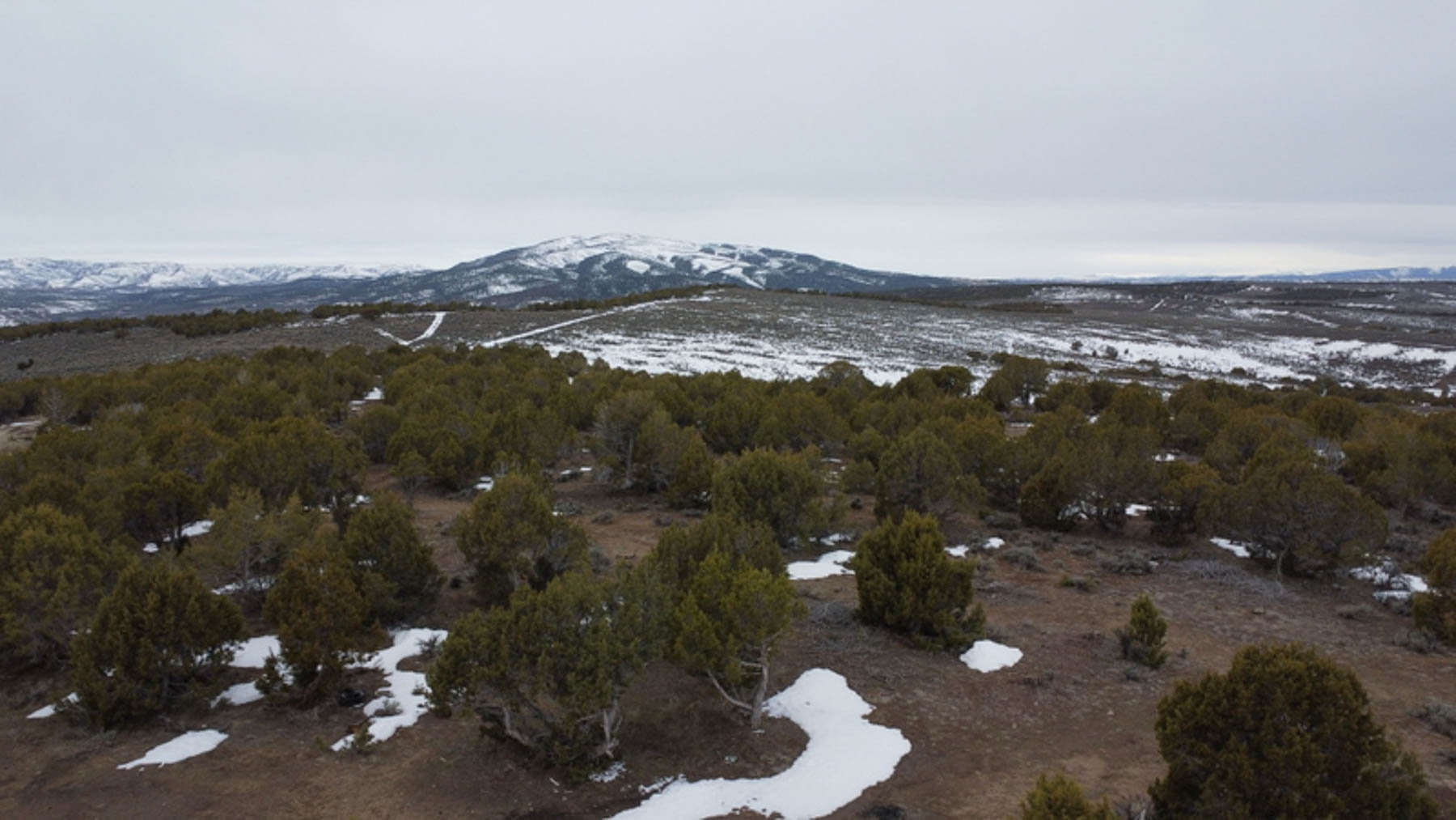 Colorado Hunting Ranches property picture 102 of 120