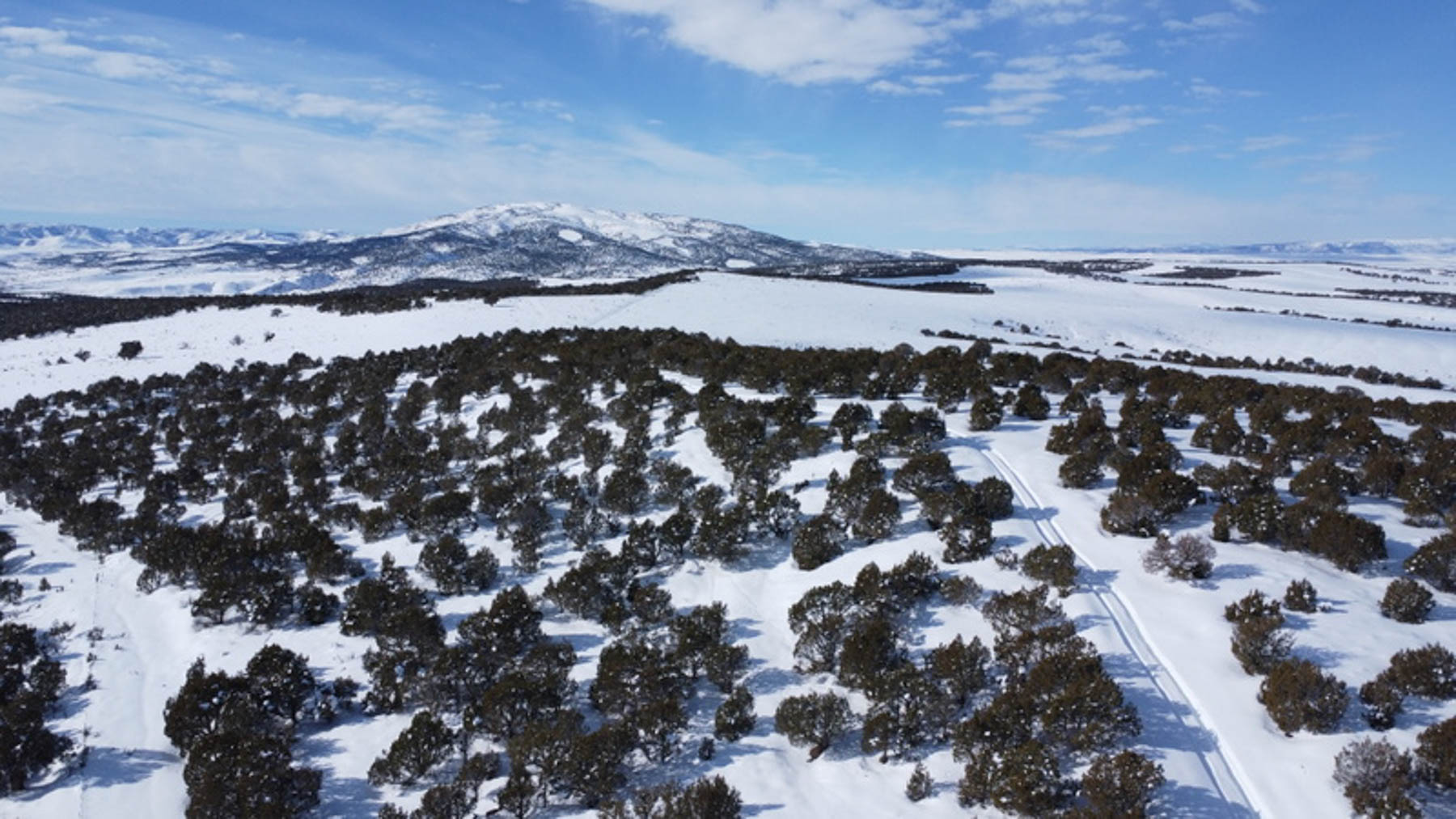 Colorado Hunting Ranches property picture 88 of 120