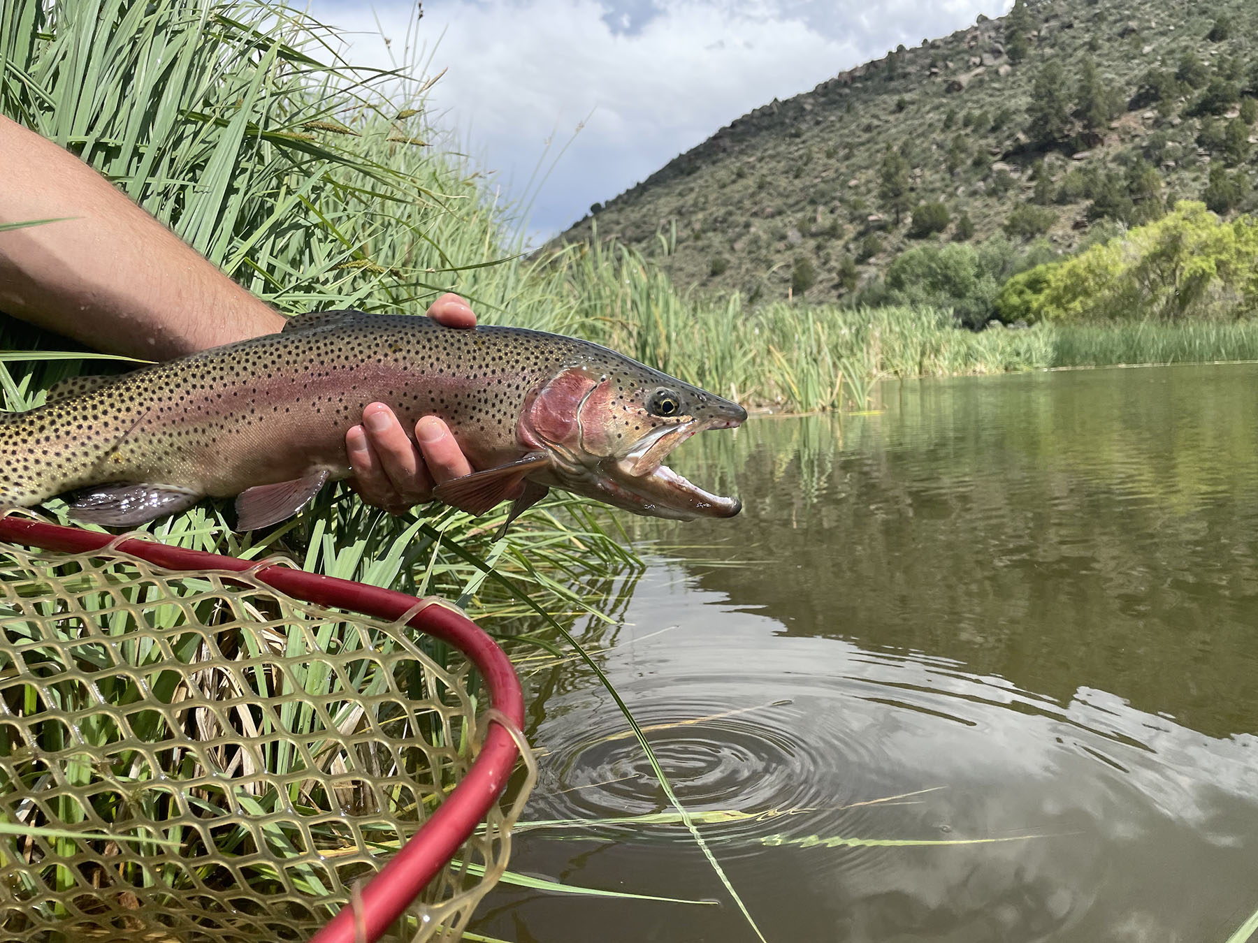 Colorado Hunting Ranches property picture 23 of 120