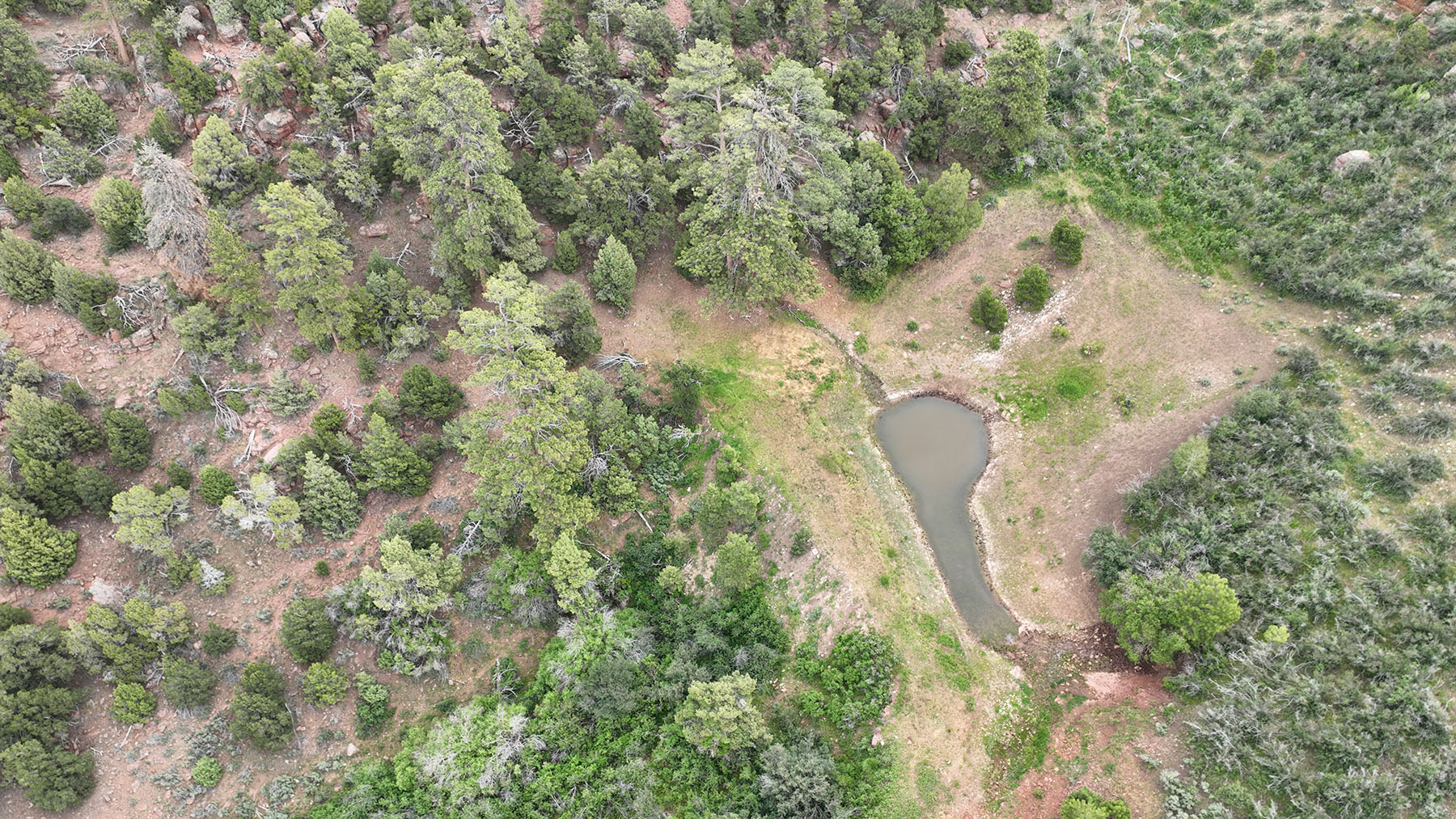 Colorado Hunting Ranches property picture 10 of 120