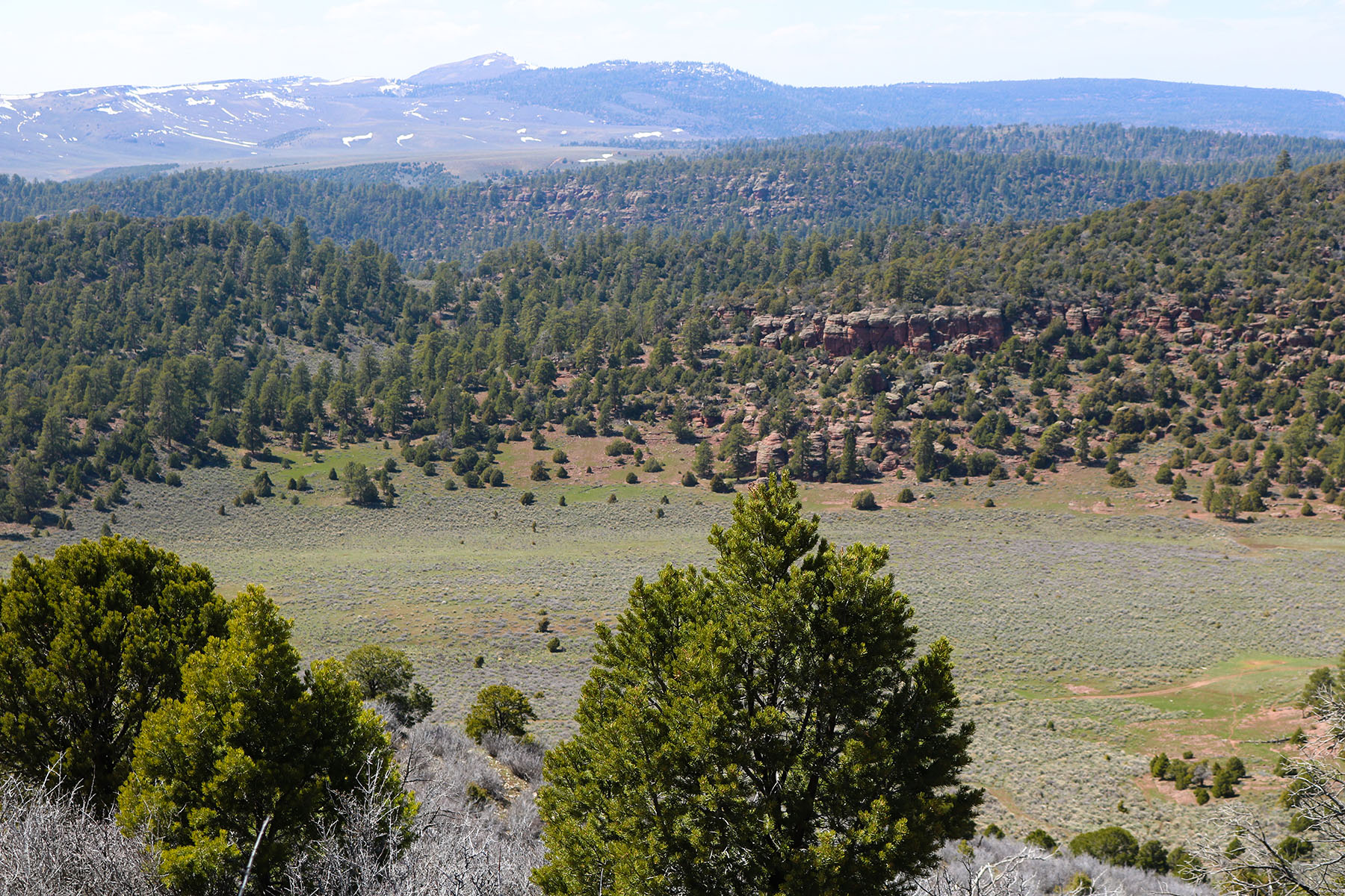 Colorado Hunting Ranches property picture 28 of 120