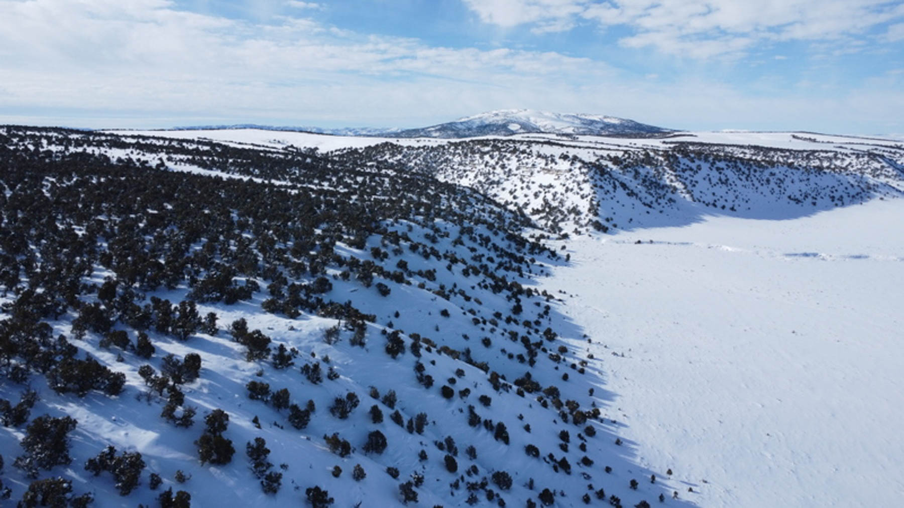 Colorado Hunting Ranches property picture 87 of 120