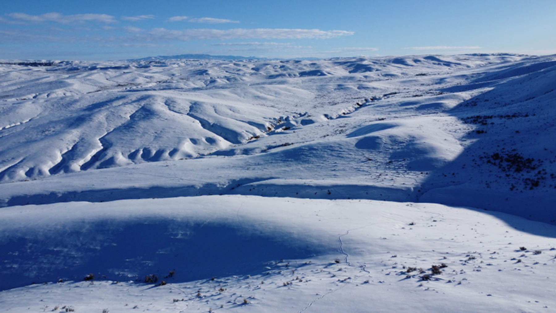 Colorado Hunting Ranches property picture 71 of 120