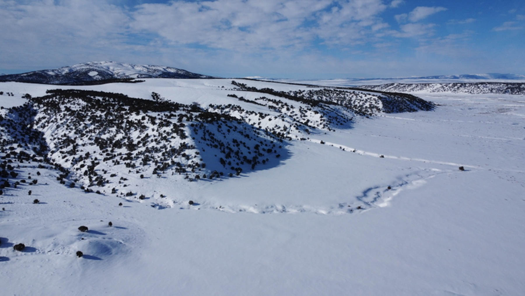 Colorado Hunting Ranches property picture 82 of 120