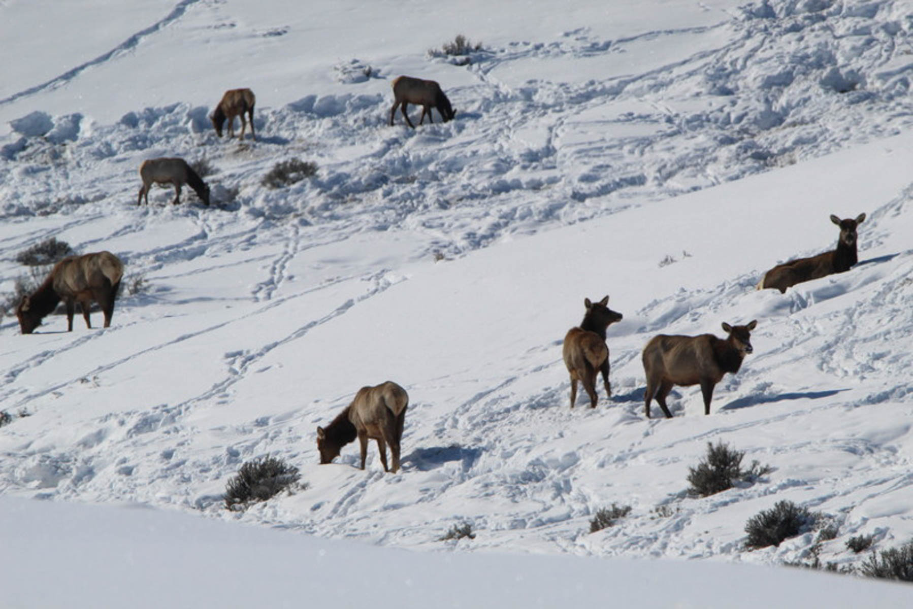 Colorado Hunting Ranches property picture 55 of 120