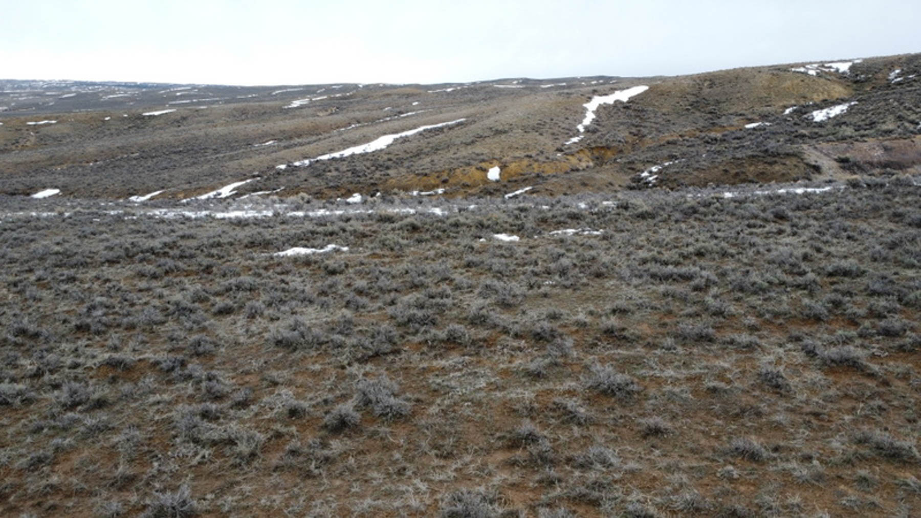 Colorado Hunting Ranches property picture 113 of 120