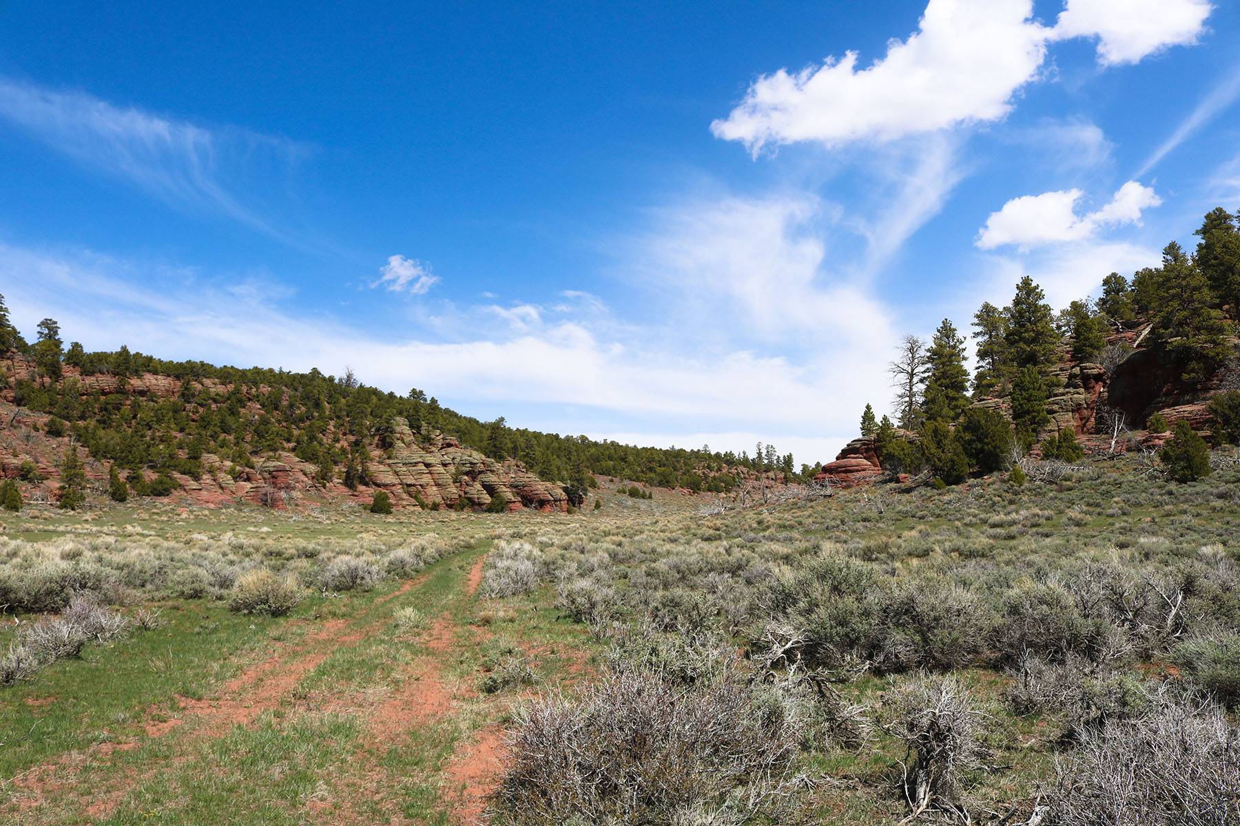 Colorado Hunting Ranches property picture 25 of 120