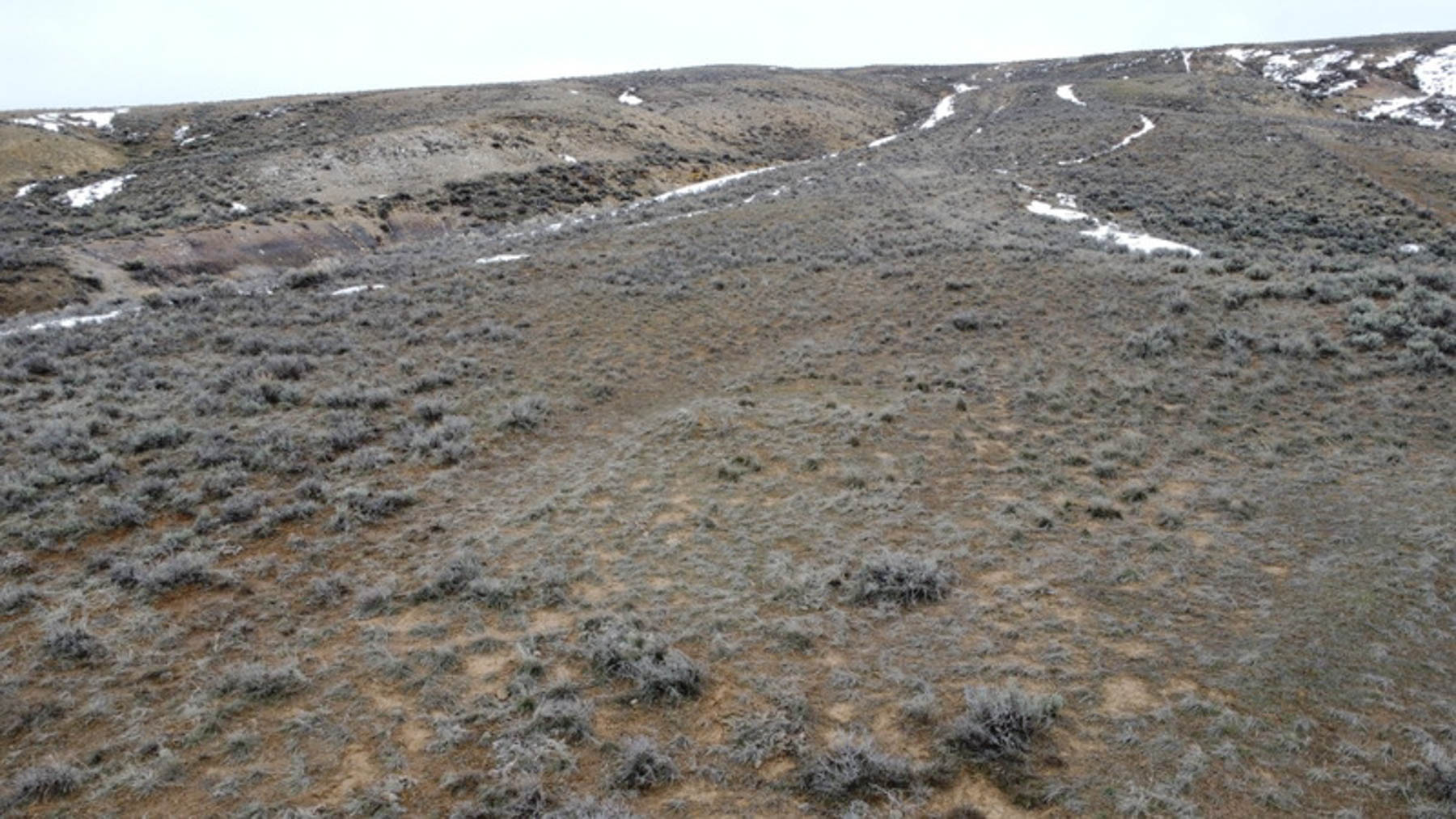 Colorado Hunting Ranches property picture 112 of 120