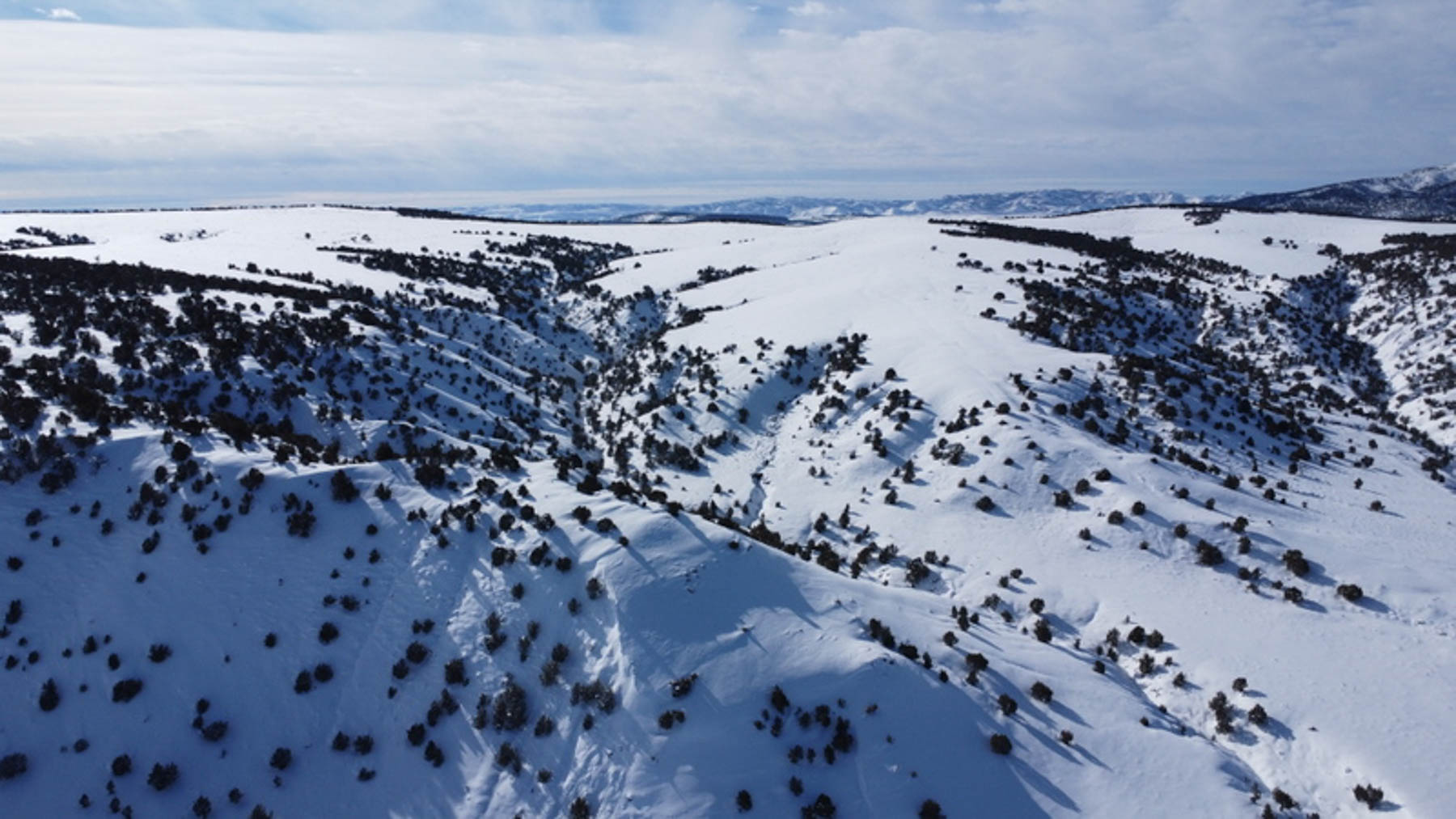 Colorado Hunting Ranches property picture 80 of 120