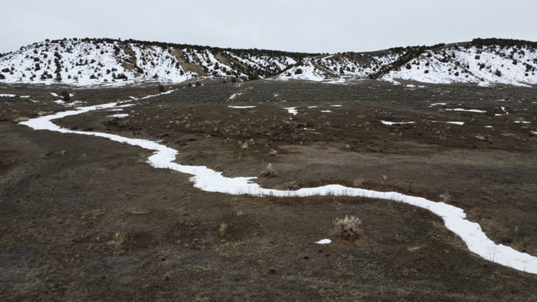 Colorado Hunting Ranches property picture 108 of 120