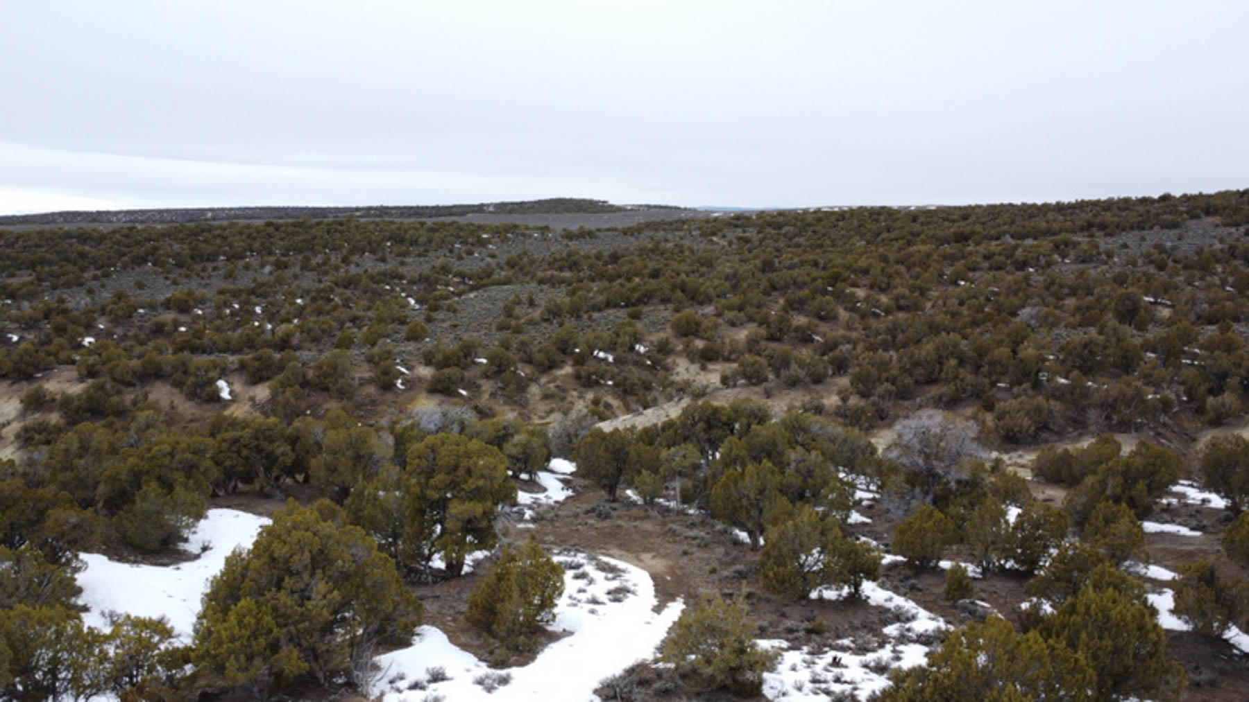 Colorado Hunting Ranches property picture 100 of 120
