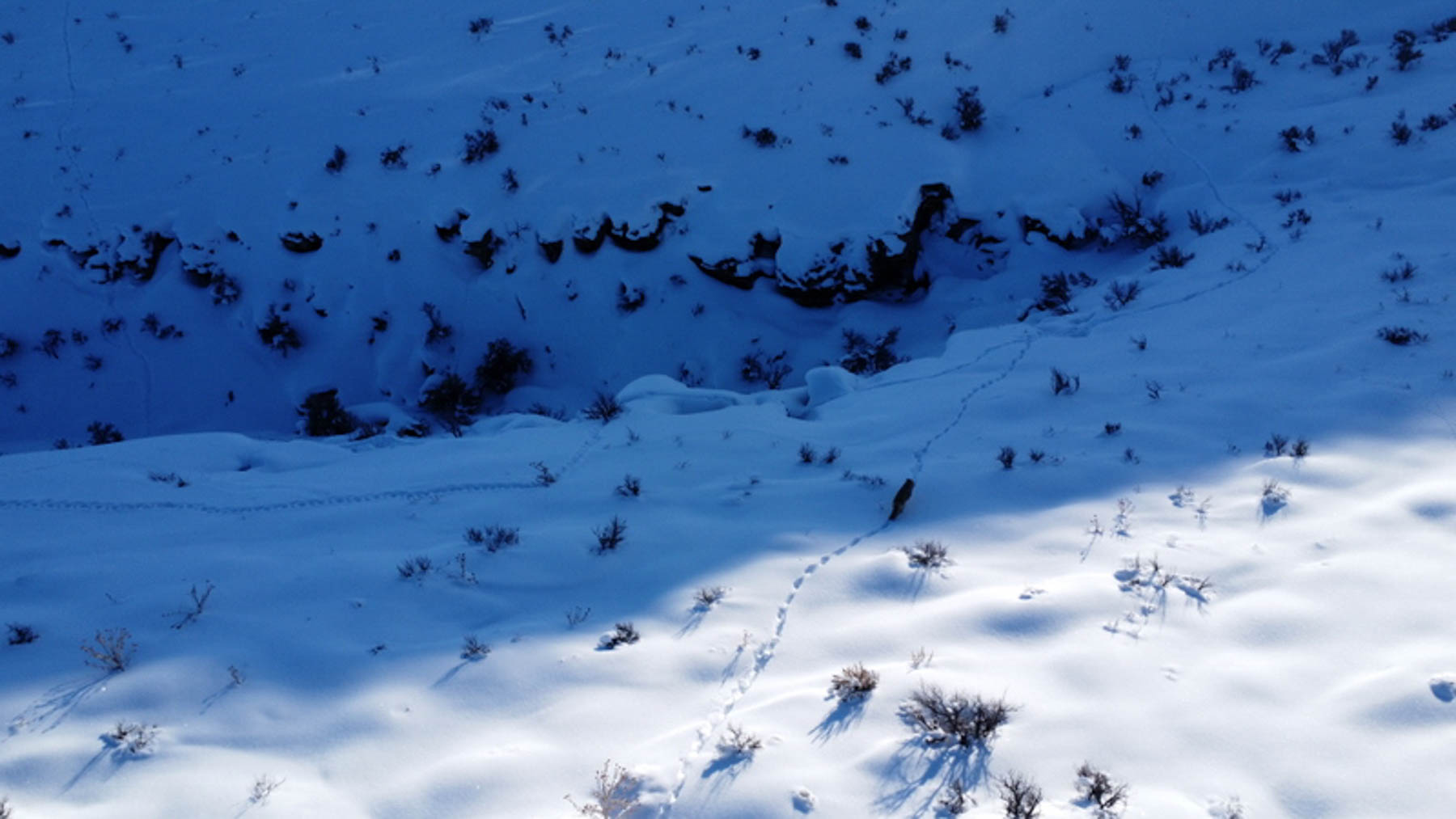 Colorado Hunting Ranches property picture 61 of 120