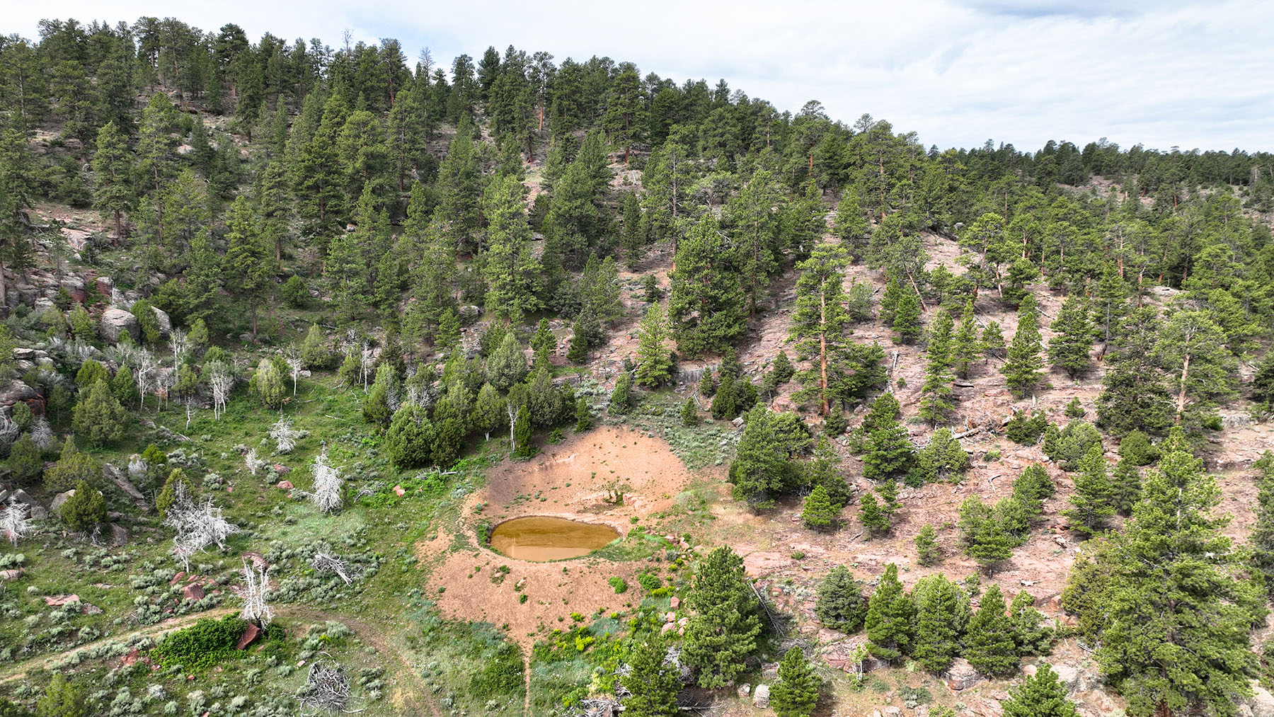 Colorado Hunting Ranches property picture 7 of 120