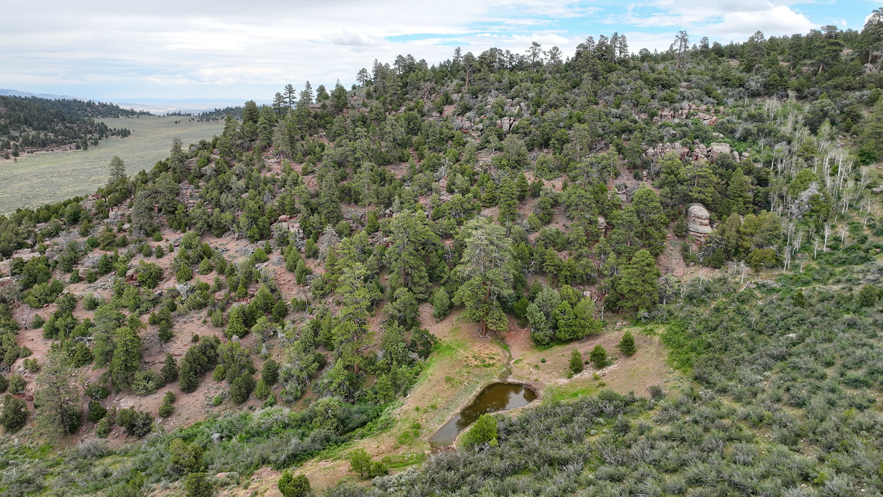 Colorado Hunting Ranches property picture 11 of 120