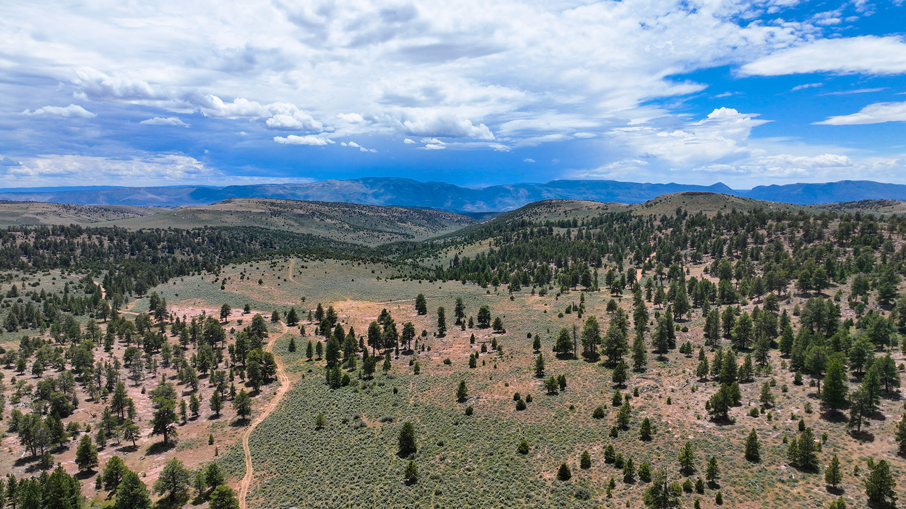 Colorado Hunting Ranches property picture 16 of 120