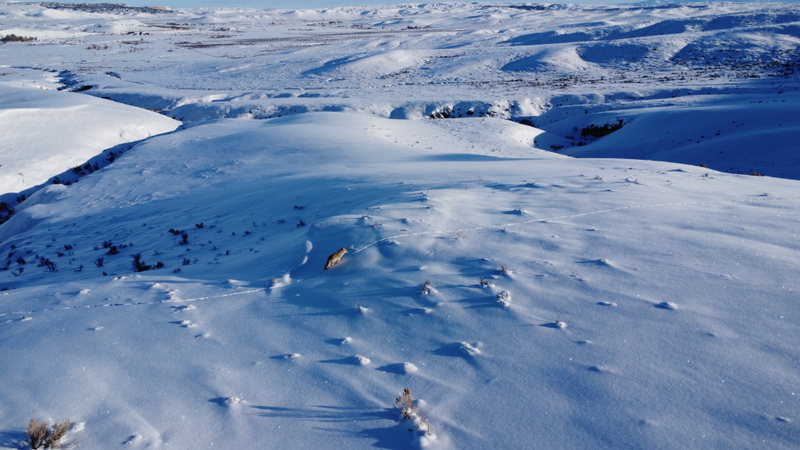 Colorado Hunting Ranches property picture 29 of 120