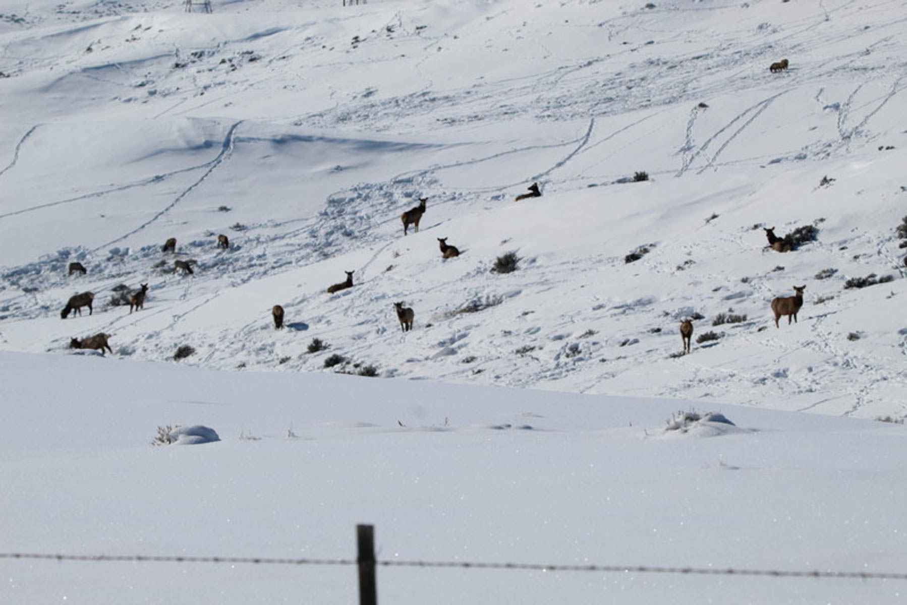 Colorado Hunting Ranches property picture 58 of 120
