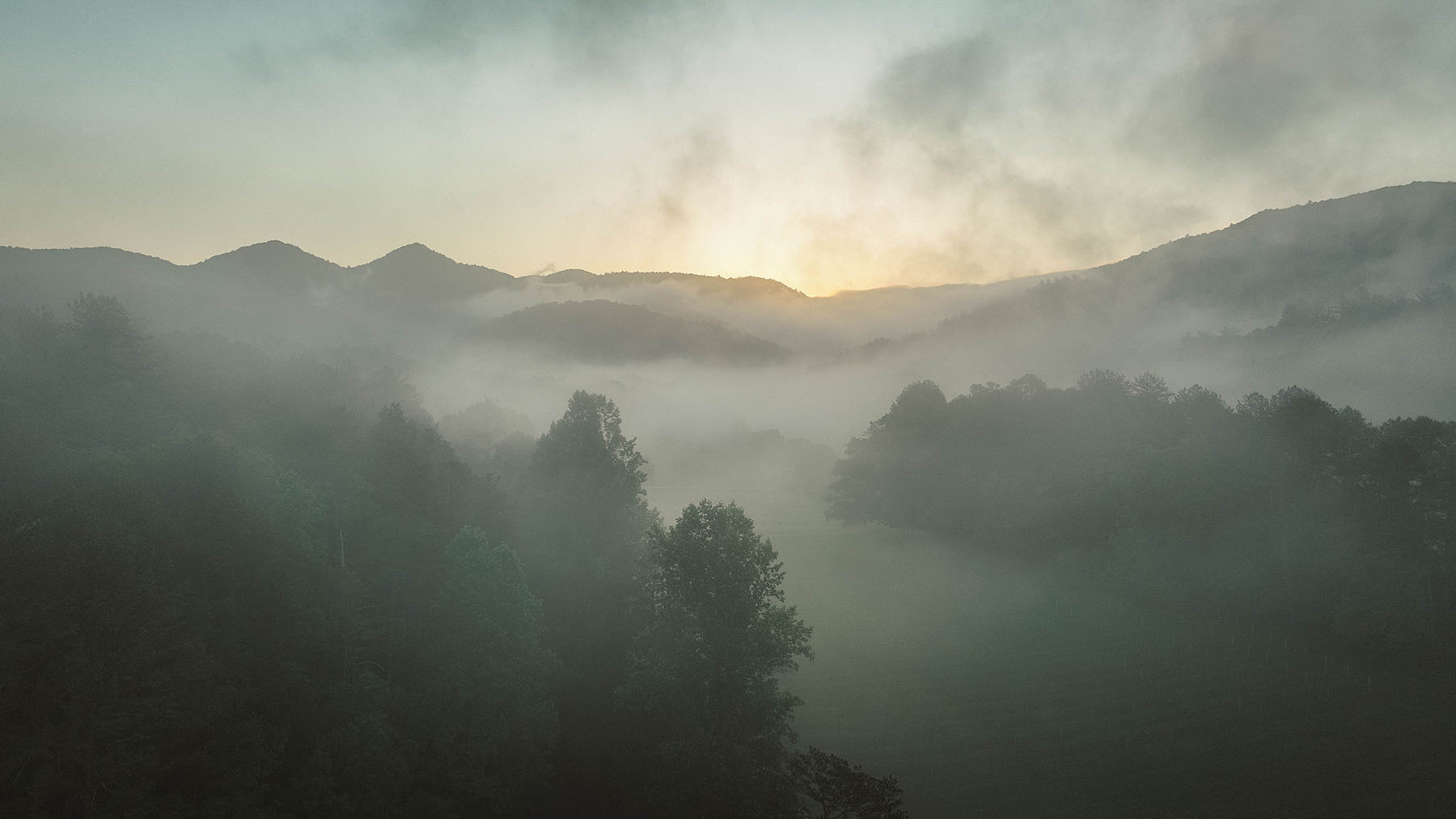 Persimmon Valley Farm property picture 94 of 94