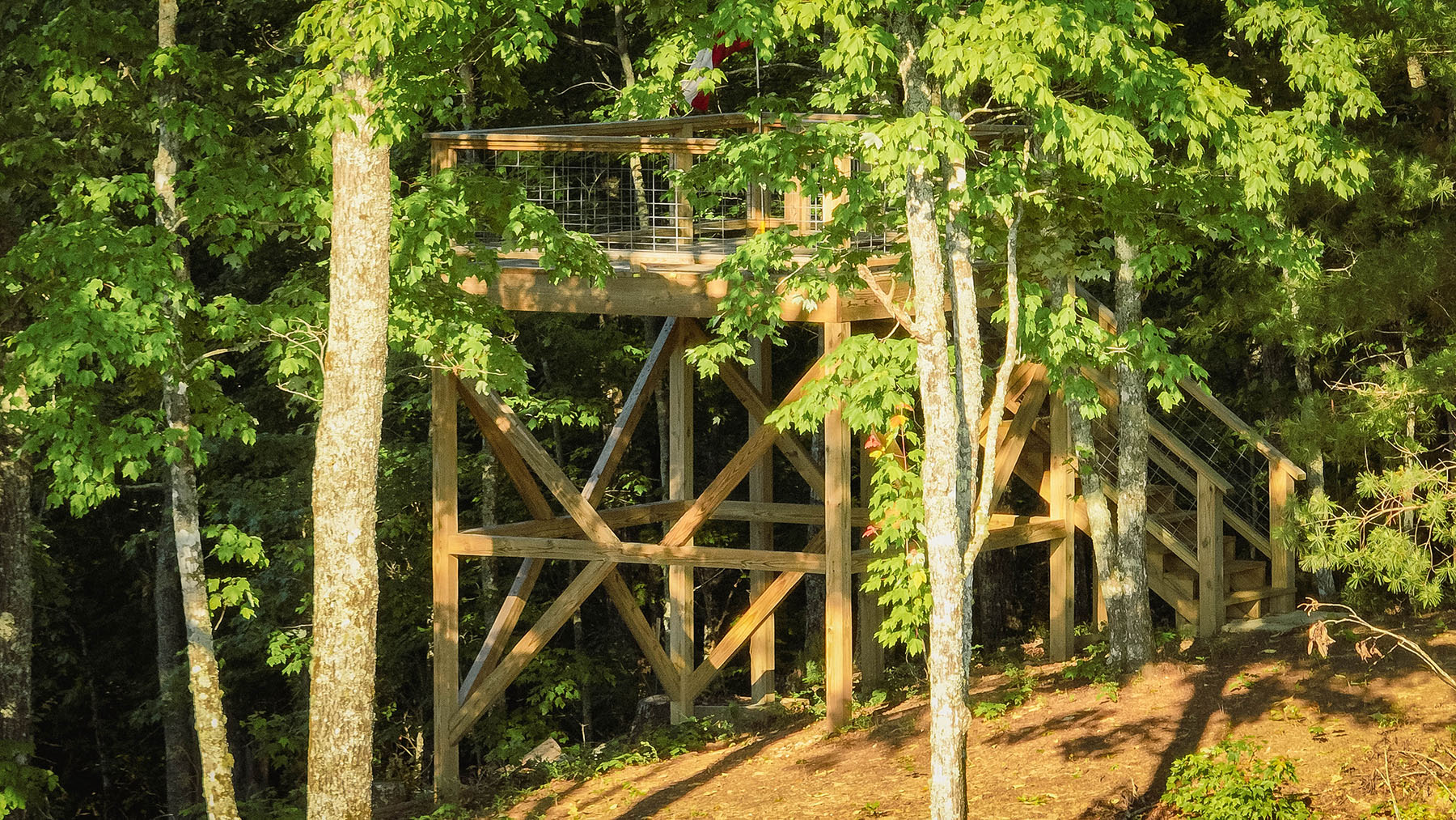 Persimmon Valley Farm property picture 92 of 94