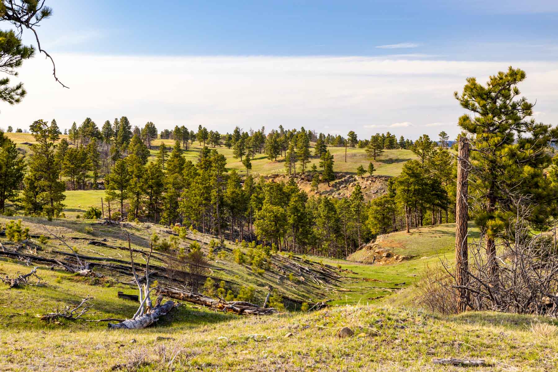 SY Ranch property picture 13 of 42