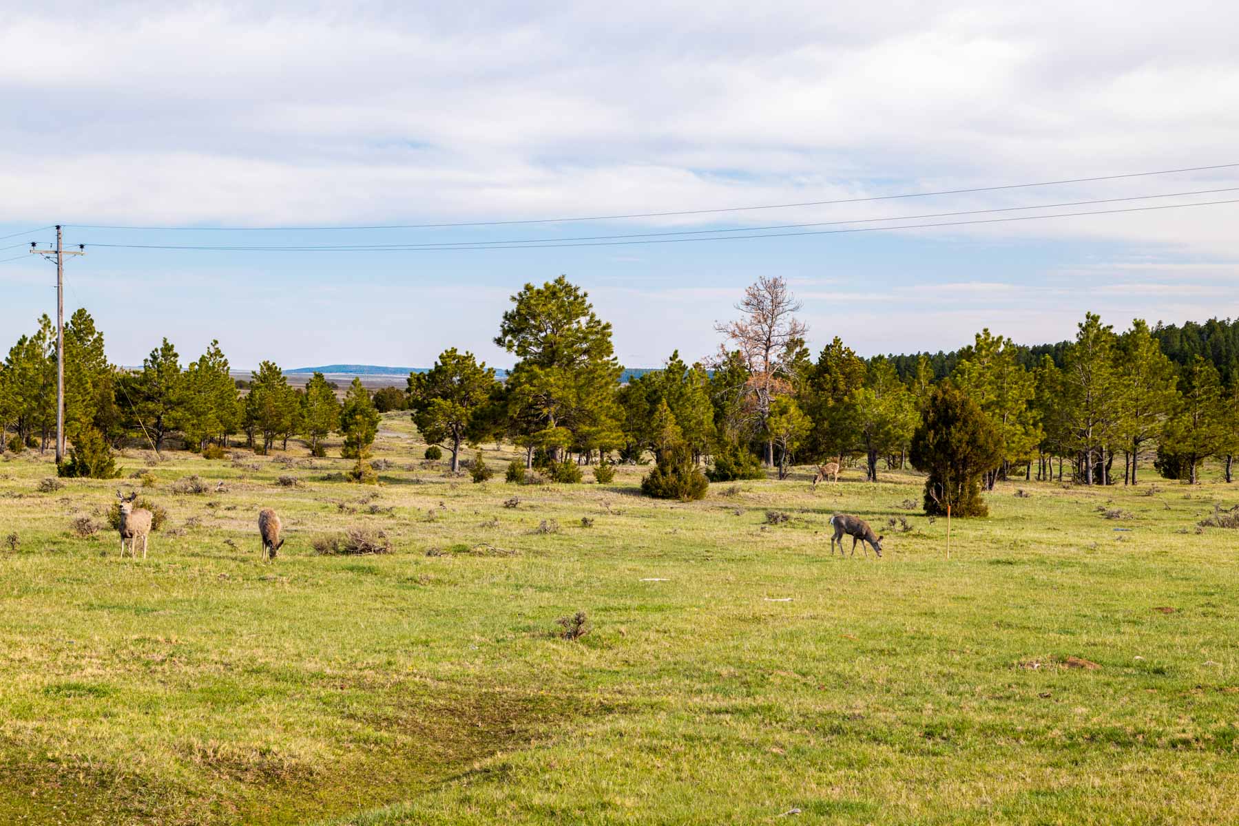 SY Ranch property picture 15 of 42